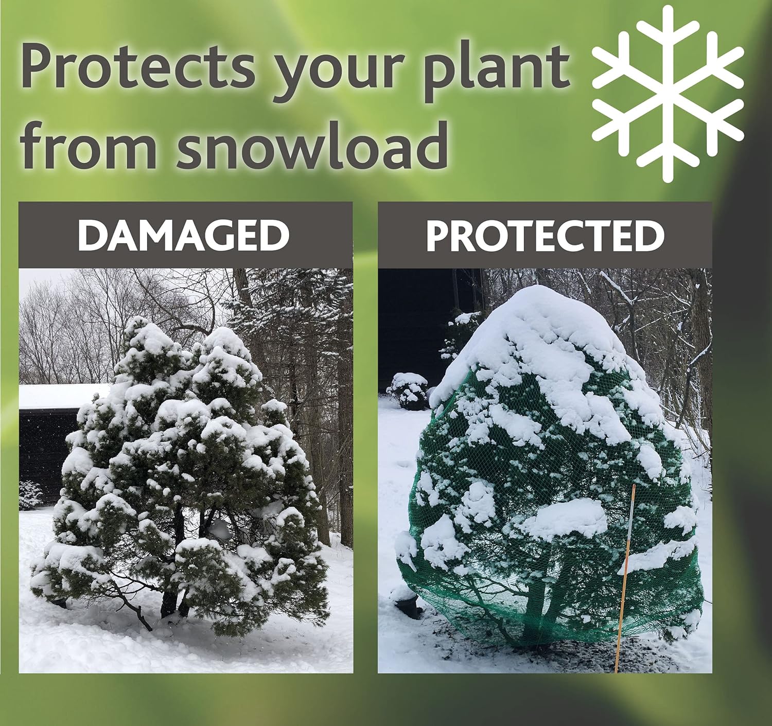 ShrubGuard® 1/4" mesh Netting deters Birds Cicada Deer Rabbits Prevent Snow/ice Damage. This Durable Bag is Multi-Strand UV stabilized HDPE for multiyear Usage. Bag expands to 3' Diameter (XX-Large)