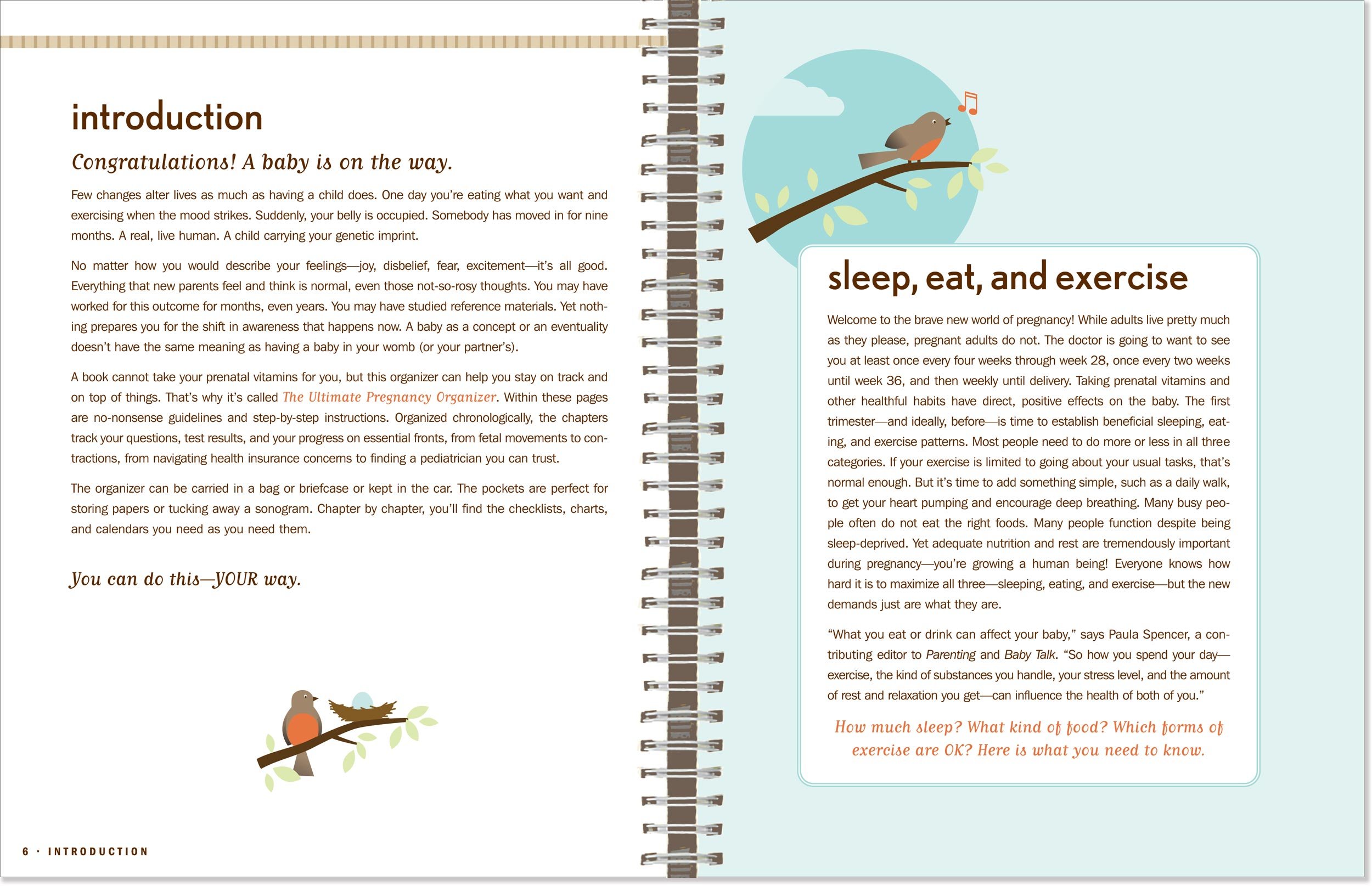 The Ultimate Pregnancy Organizer: An Interactive Guide to Managing Your Journey to Parenthood