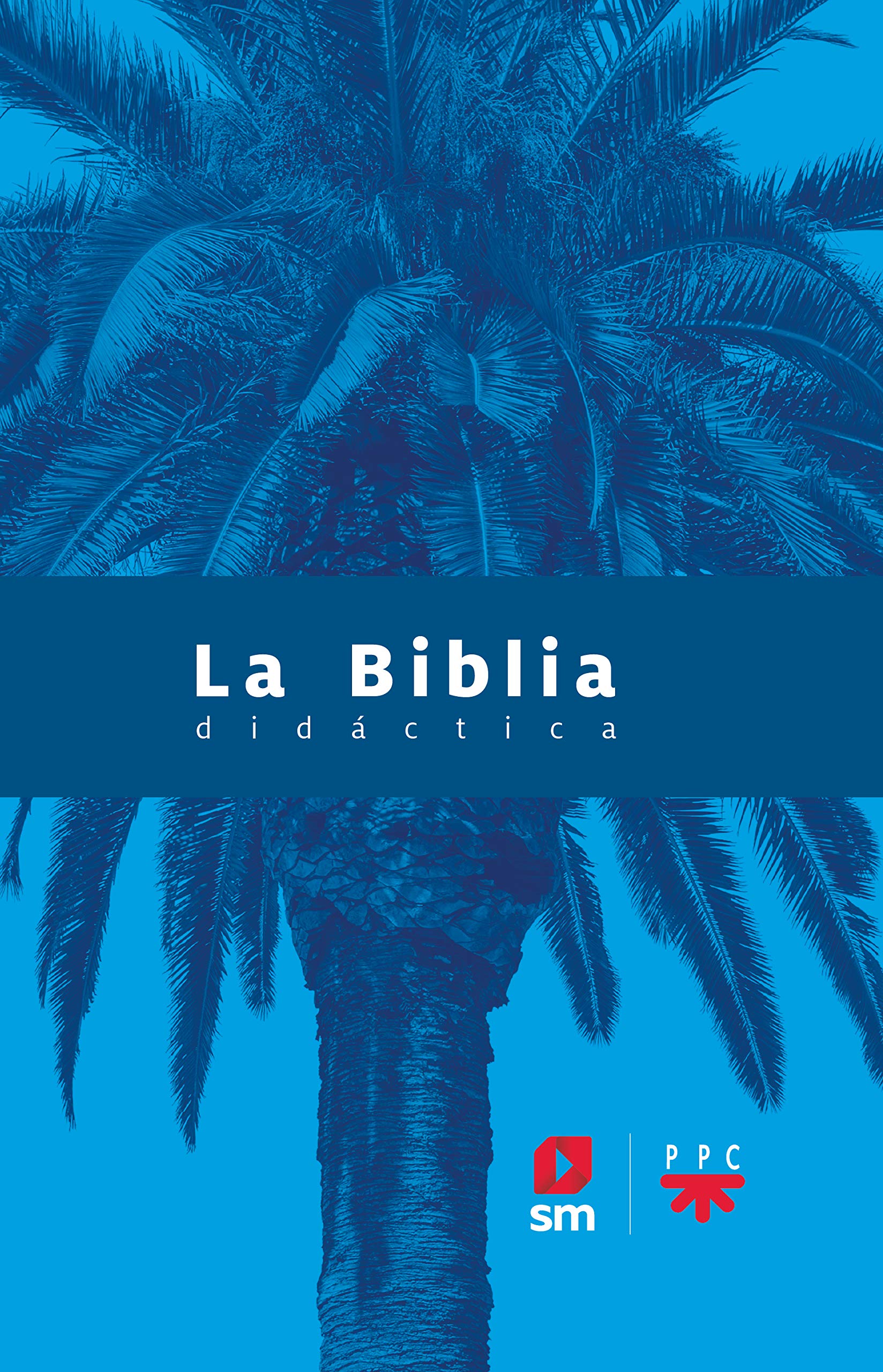 La biblia didáctica - CEE Paperback – July 9, 2020