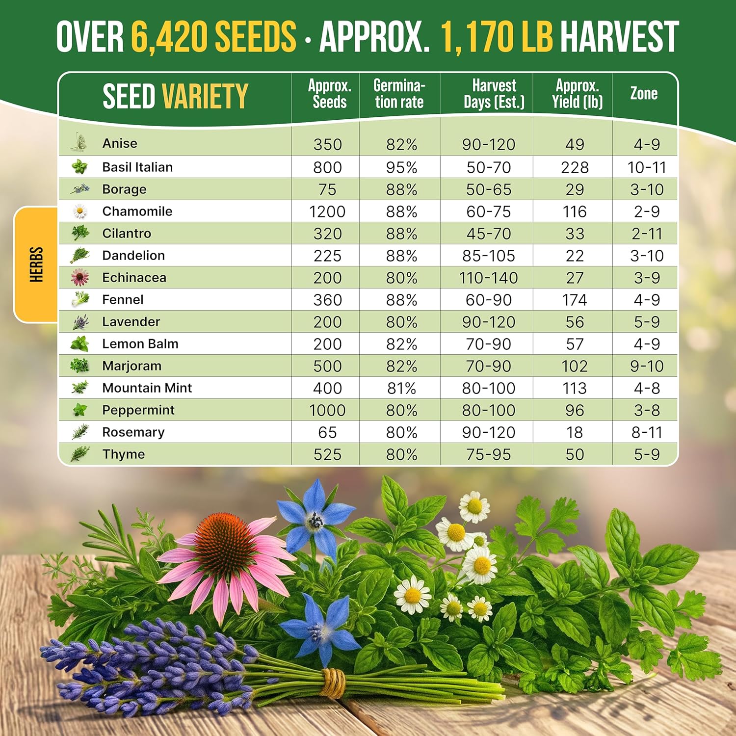 15 Medicinal & Tea Herb Seeds Variety Pack for Planting Indoor & Outdoors. 3600+ Non-GMO Heirloom Herbal Garden Seeds: Anise, Borage, Cilantro, Chamomile, Dandelion, Rosemary, Peppermint Seeds & More - Image 4