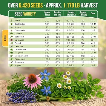 Organo Republic 15 Medicinal & Tea Herb Seeds Variety Pack 6,420+ Non-GMO Heirloom Garden Seeds for Indoor & Outdoors, Including Anise, Borage, Cilantro, Chamomile, Dandelion, Rosemary Seeds