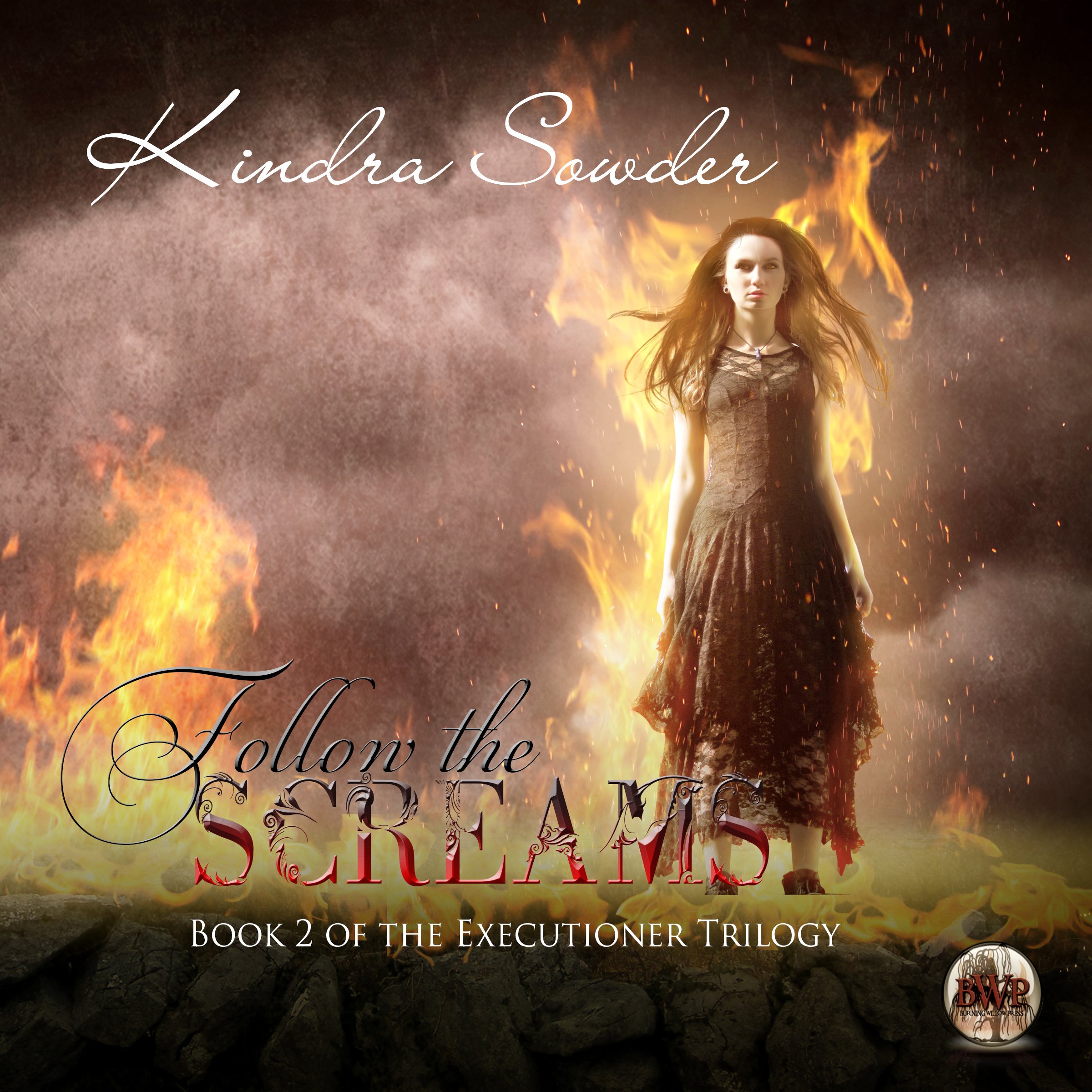Cover art for Follow the Screams