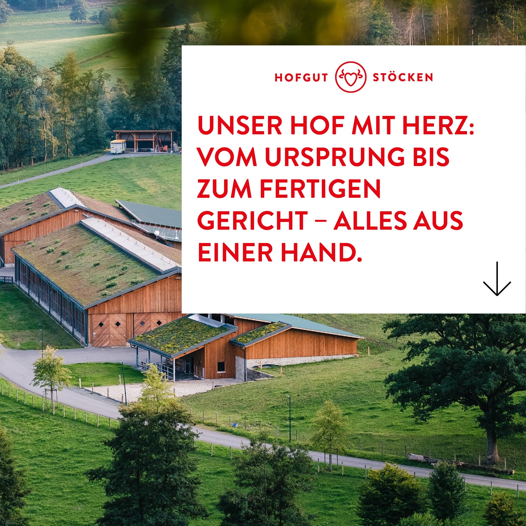 Probierpaket 6 Bio-Fertiggerichte im Glas (6x 620ml)