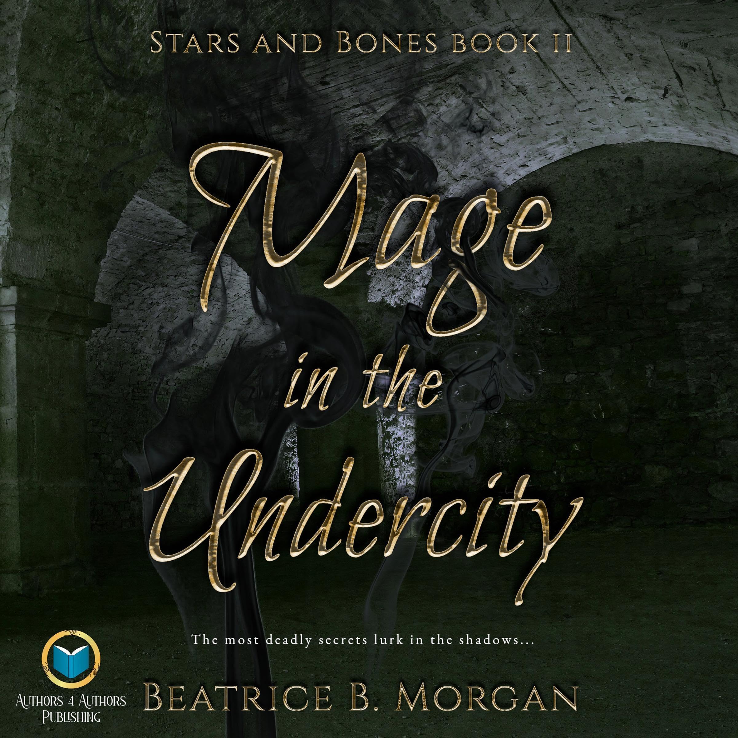 Cover art for Mage in the Undercity
