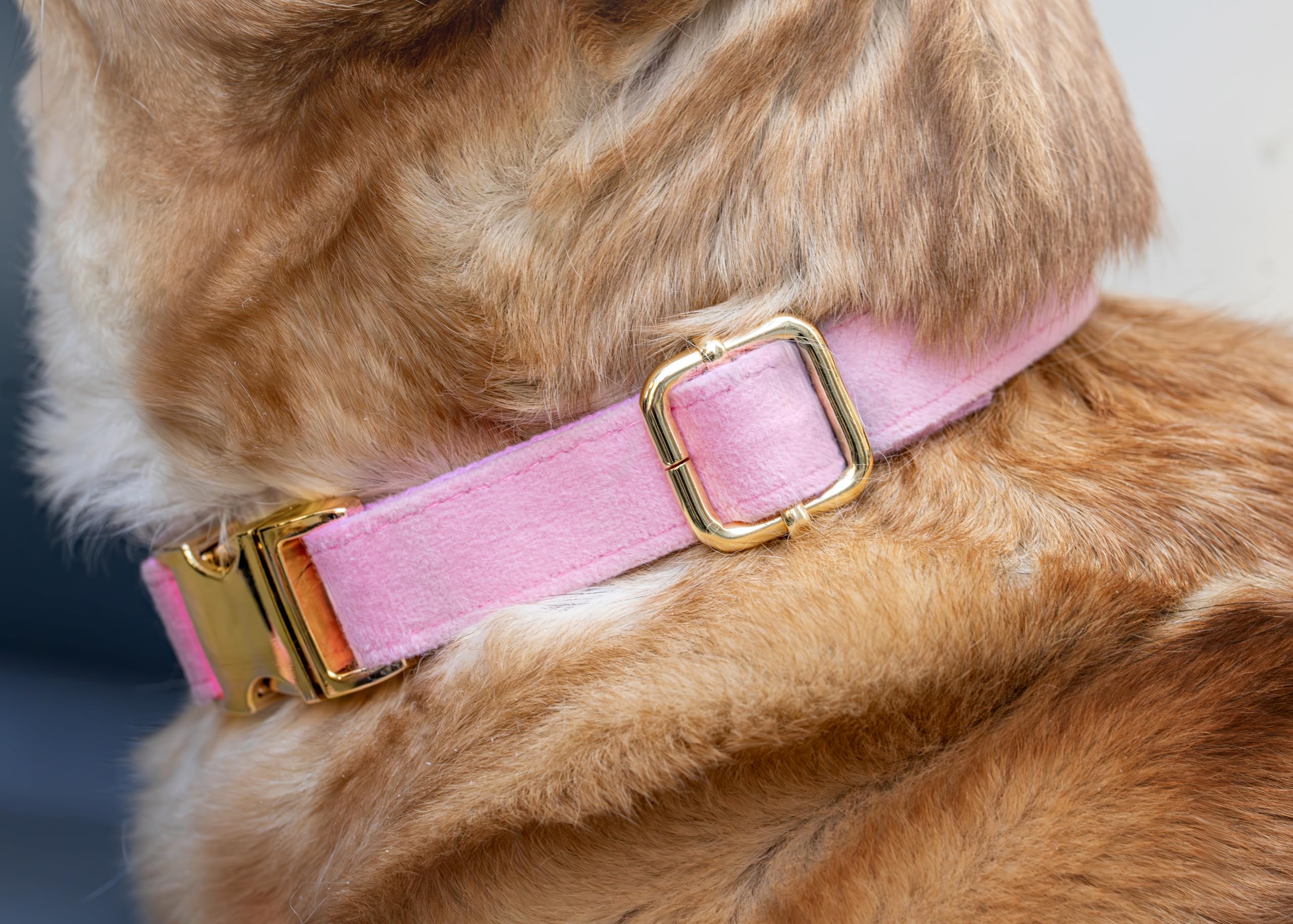 Dog Bark Collar,Dog Training Collar with remote-2600 ft,Non Shock,Adjustable Fit,for Small,Medium,Large Dogs, Advanced Technology with Remote, Automatic Bark Collar, Rechargeable,Anti-Barking,Pink