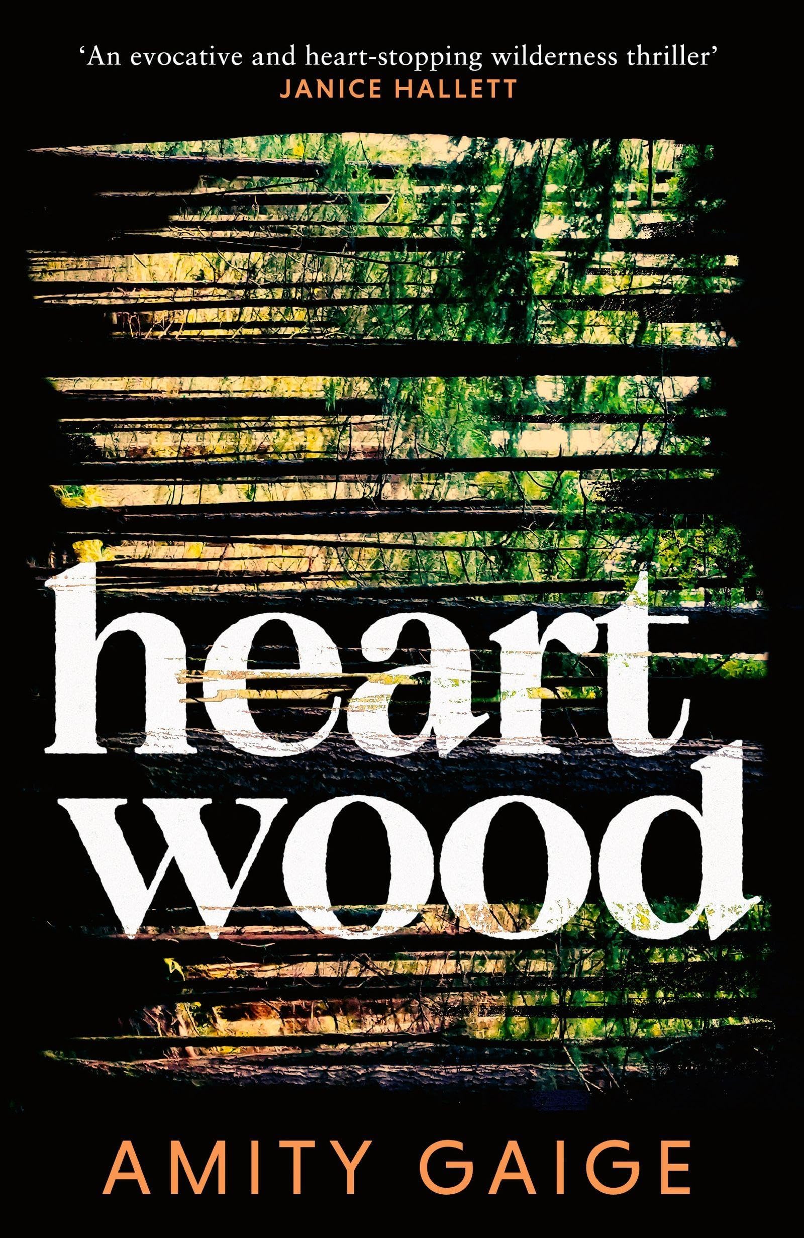 Heartwood by Amity Gaige (Hardback Book)