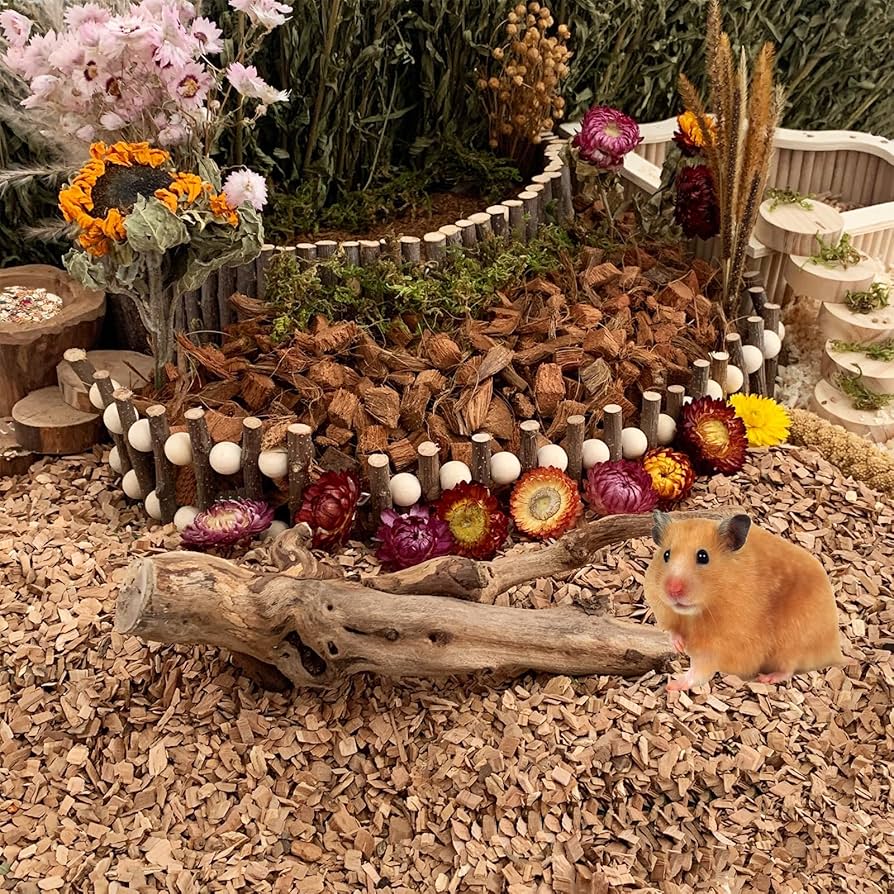 Komodo Coarse Beech Chips Substrate For Reptile Cage Vivarium Habitat