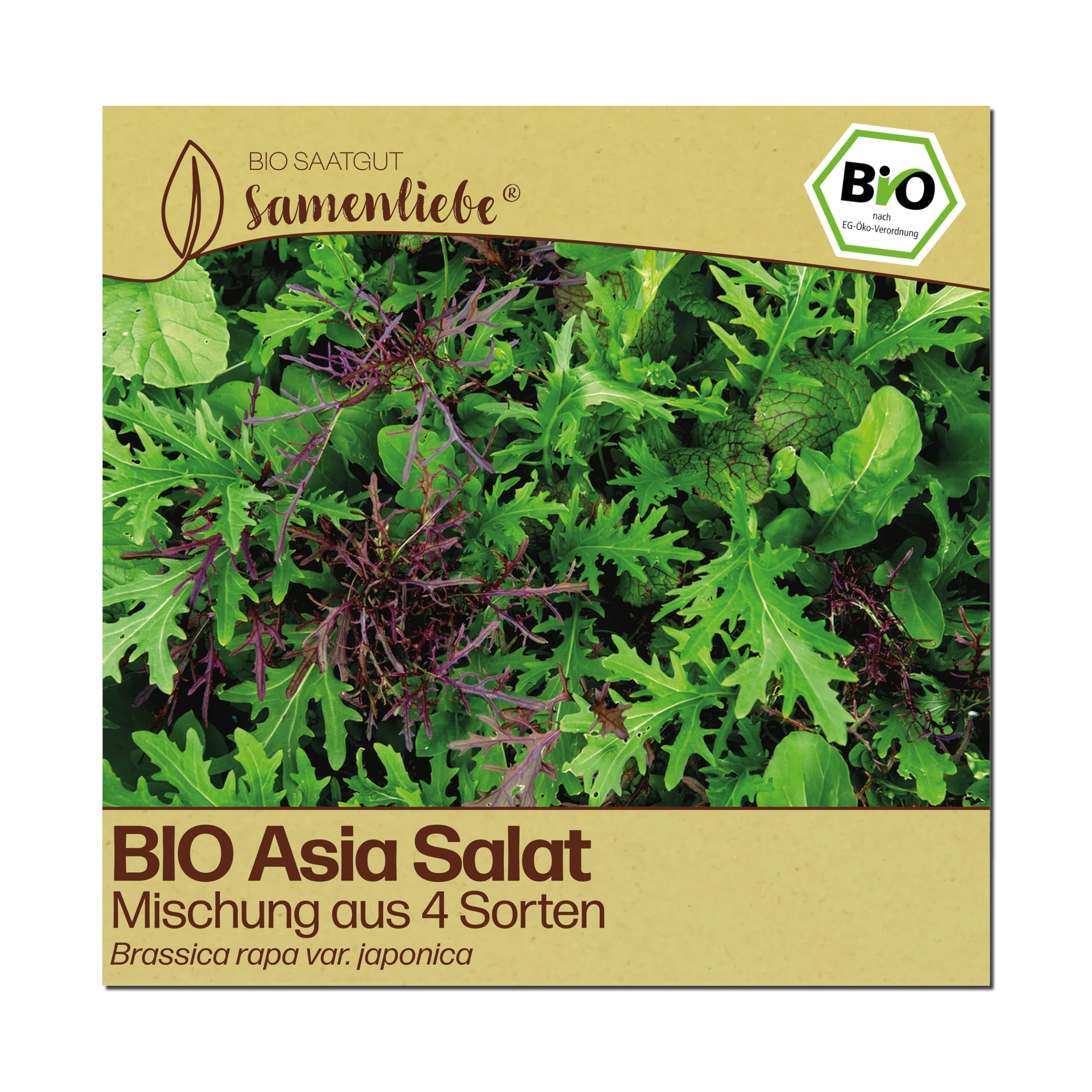 Samenliebe BIO Asia Salat Samen | 4 Sorten Mix - Mischung winterhart - samenfestes BIO Saatgut