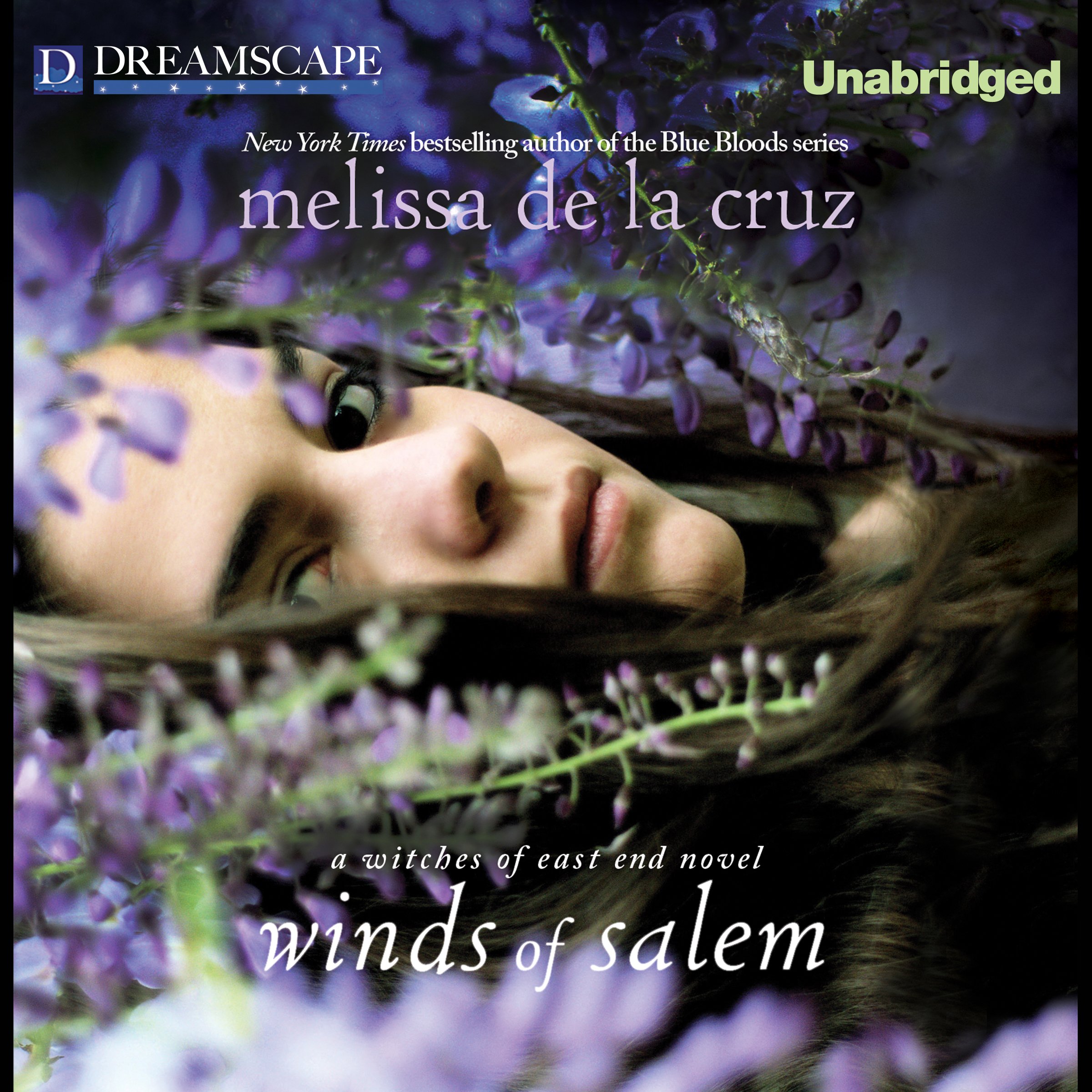 Cover art for Winds of Salem