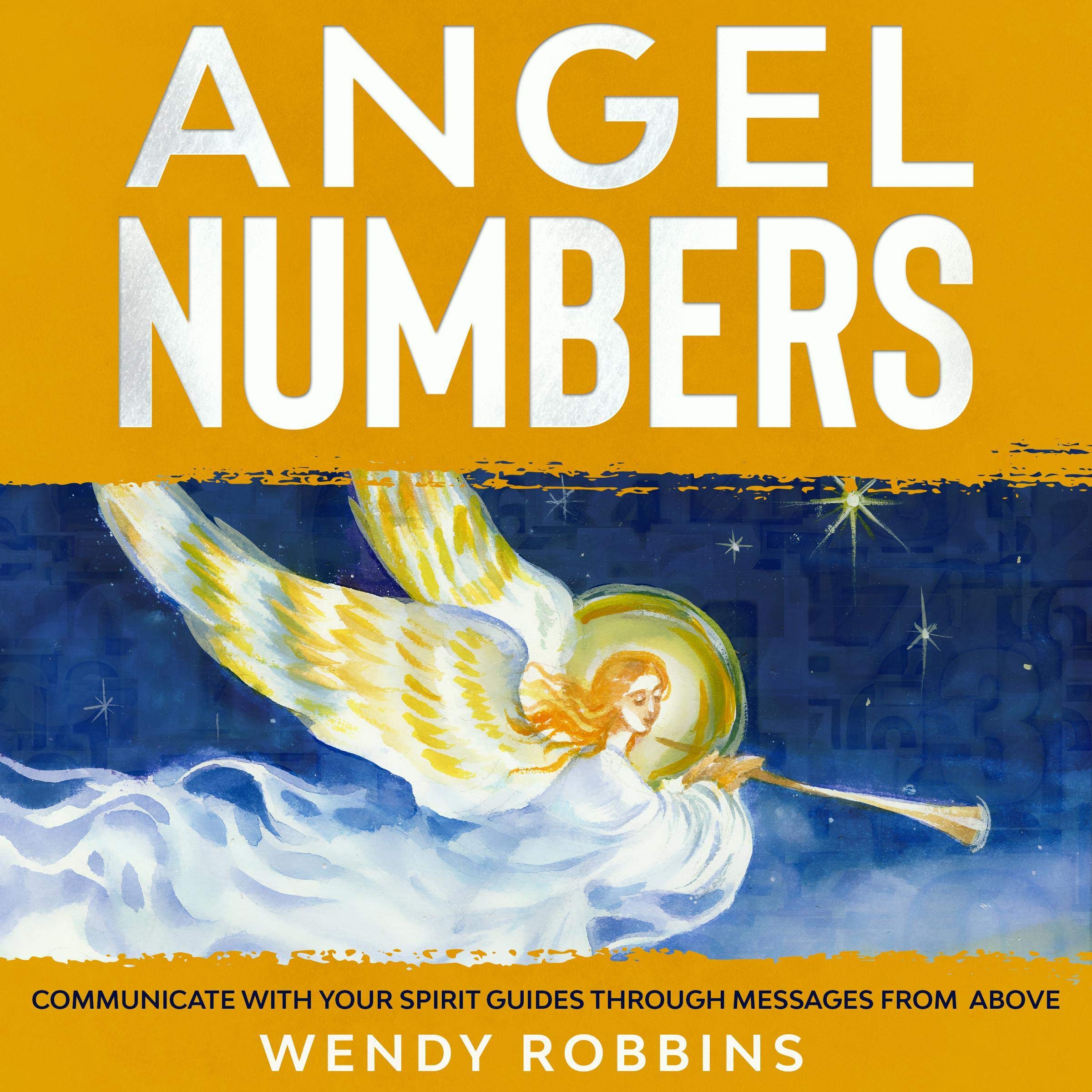 Cover art for Angel Numbers