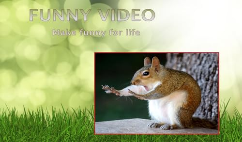 Reverse Video - Loop Video & Fast Slow Motion