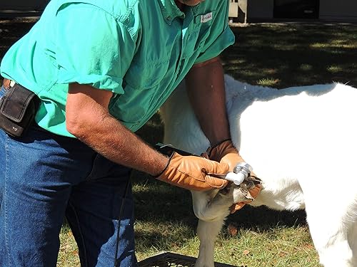 Vista 3 de Hoof Boss - Juego completo de recortadores de pezuñas de cabra - Requiere batería de 20 voltios no incluida - Kit de herramientas para recortar aros