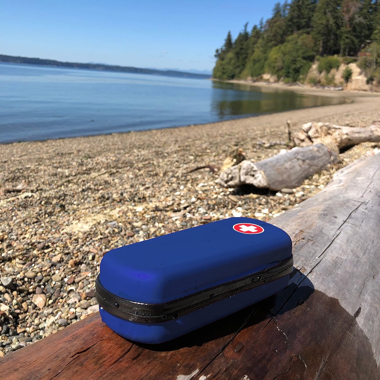 EpiPen Carrying Case, Durable EVA Foam, Water Resistant, Holds 2 Epipens, Auvi-Q, Eye Drops, Nasal Sprays and Other Essential Allergy Supplies (Blue) : Health & Household