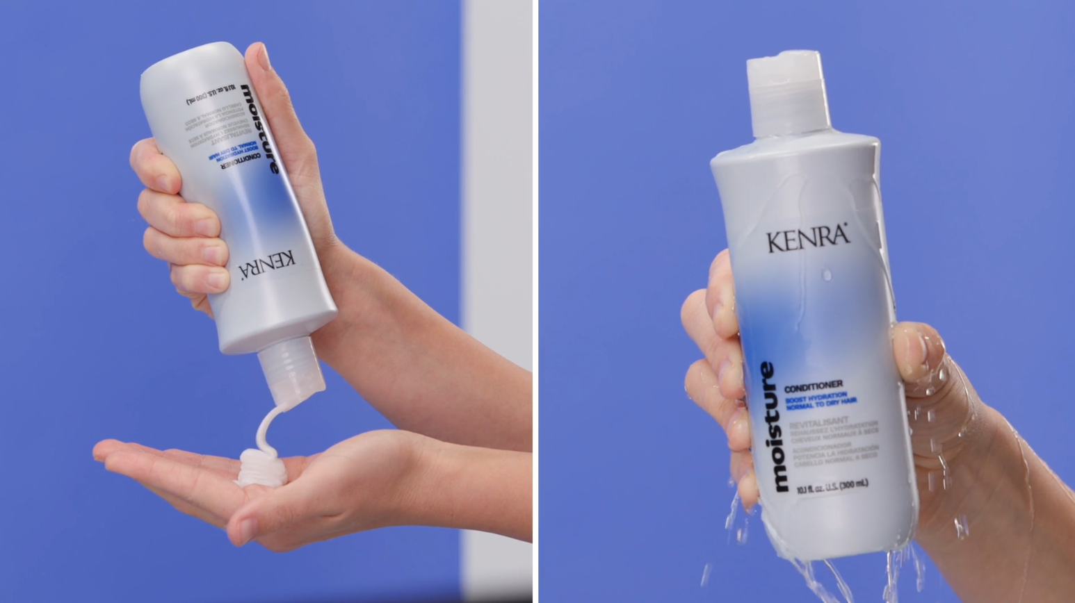 Moisture Conditioner | Boost Hydration | Improve Manageability and Shine | Nourish Dry Hair | Color Safe | Efforless Detangling | Normal to Dry Hair