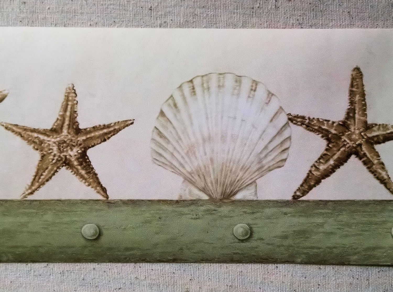 IMPERIAL Seashell Wallpaper Border CB089223B