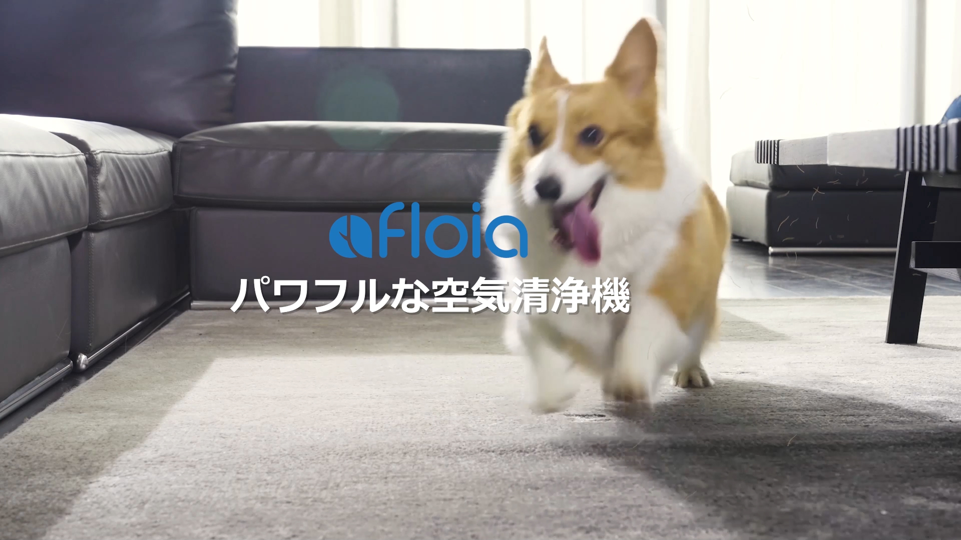 Amazon.co.jp: 【一台多役＆花粉対策＆PSE認証済み】空気清浄機 Afloia