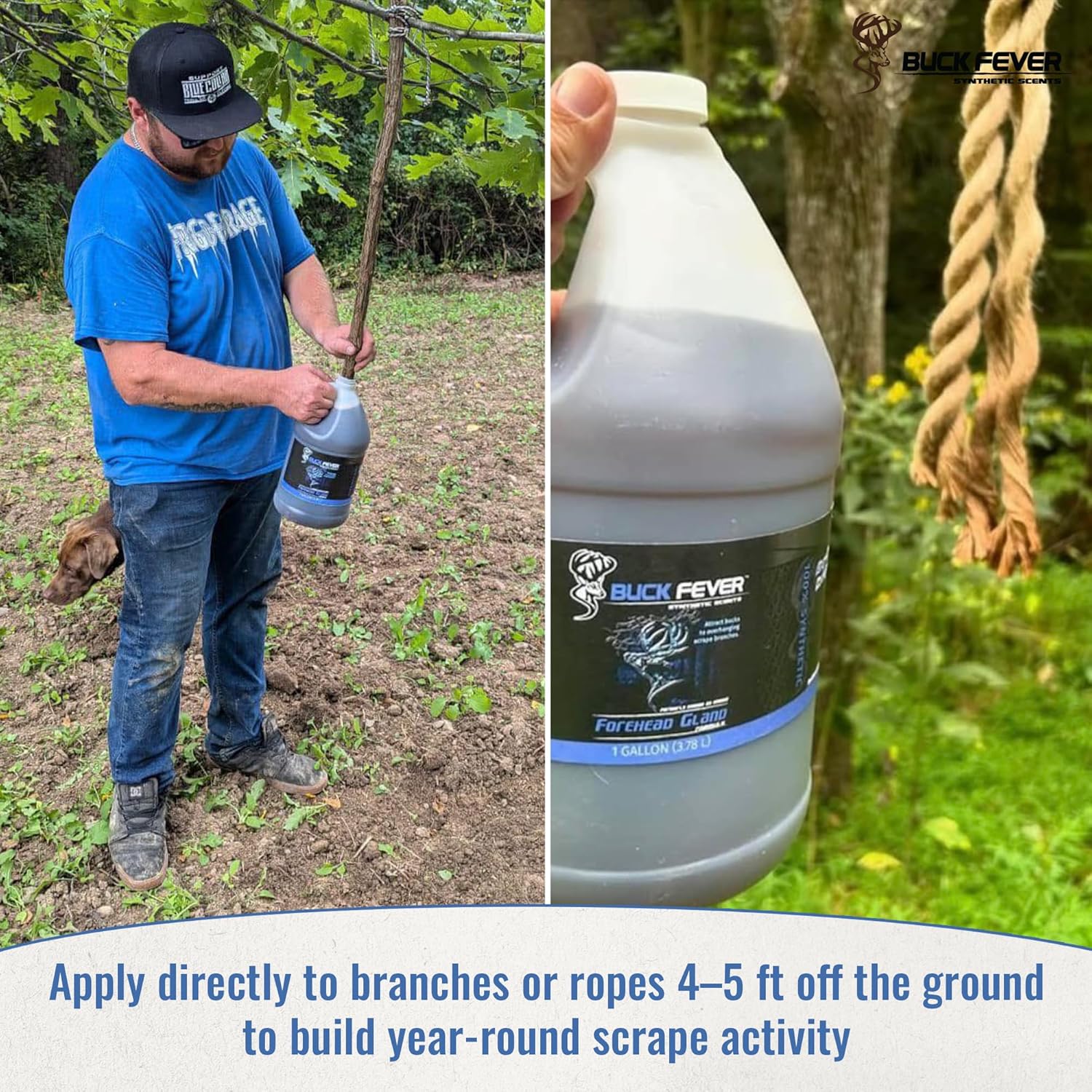Buck Fever Forehead Gland – Syntheticly Formulated Buck Lure & Deer Attractant (not just Limited to Whitetail Deer) for Mock Scrapes, Licking Branches - Year-Round Hunting Scents