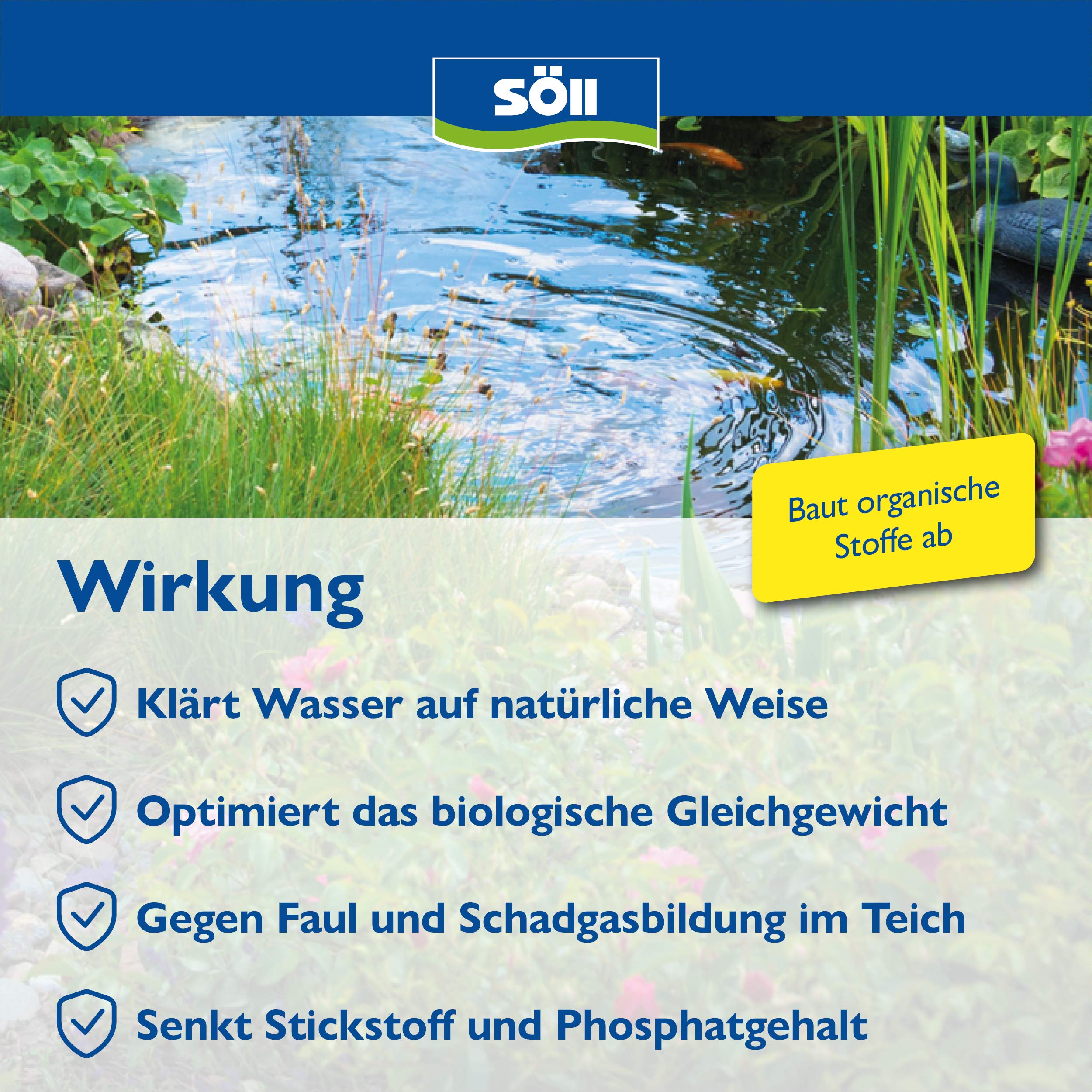 Söll 80380 Dr. Roth's Teichklar, 500 g - mikrobiologische Teichreinigung, Algenprophylaxe, Mikroorganismen für natürliche Wasserklärung im Teich Schwimmteich Fischteich