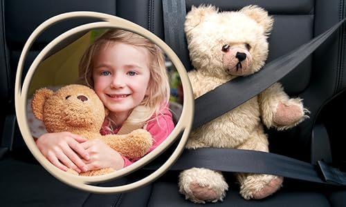 Quadros de fotos de ursinho de pelúcia