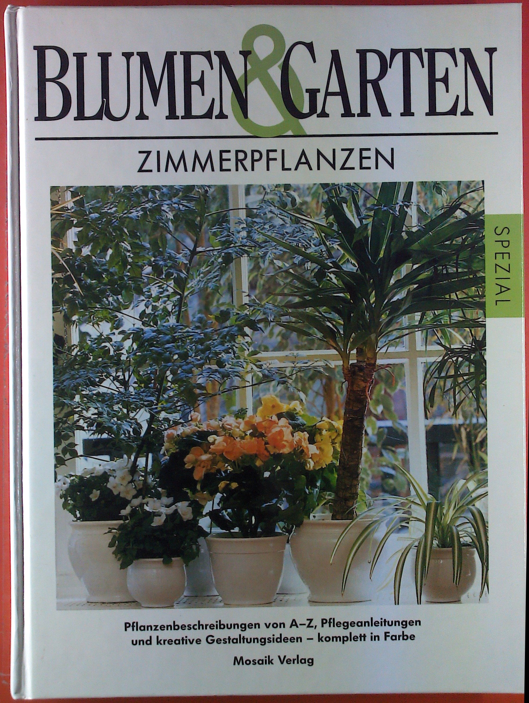 Zimmerpflanzen: Pflanzenbeschreibung von A - Z, Pflegeanleitung und  kreative Gestaltungsideen : Amazon.de: Bcher