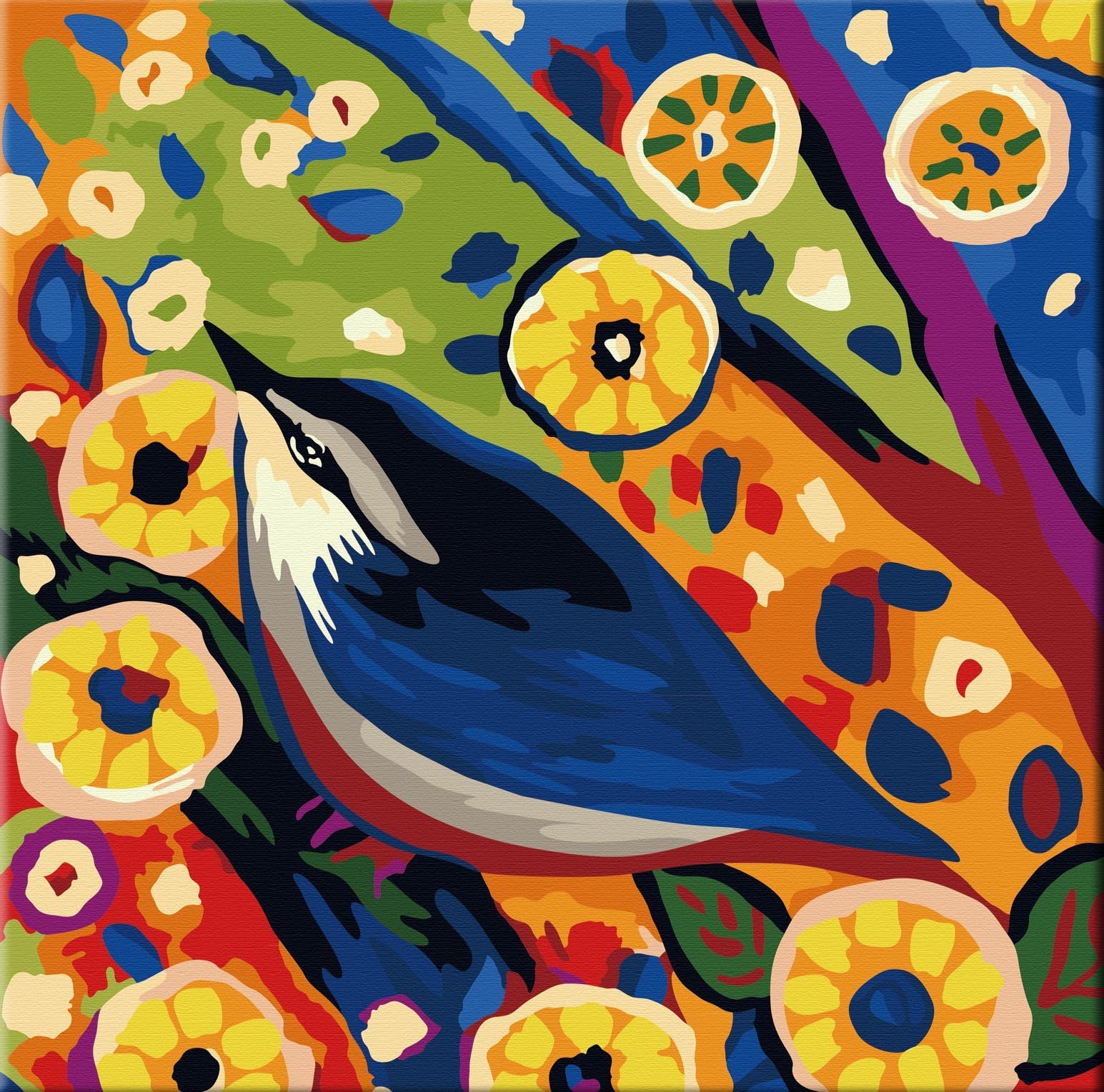 Karribi Paint by Numbers Kit for Adults and Children - Spring Birds Series (Bird XI)