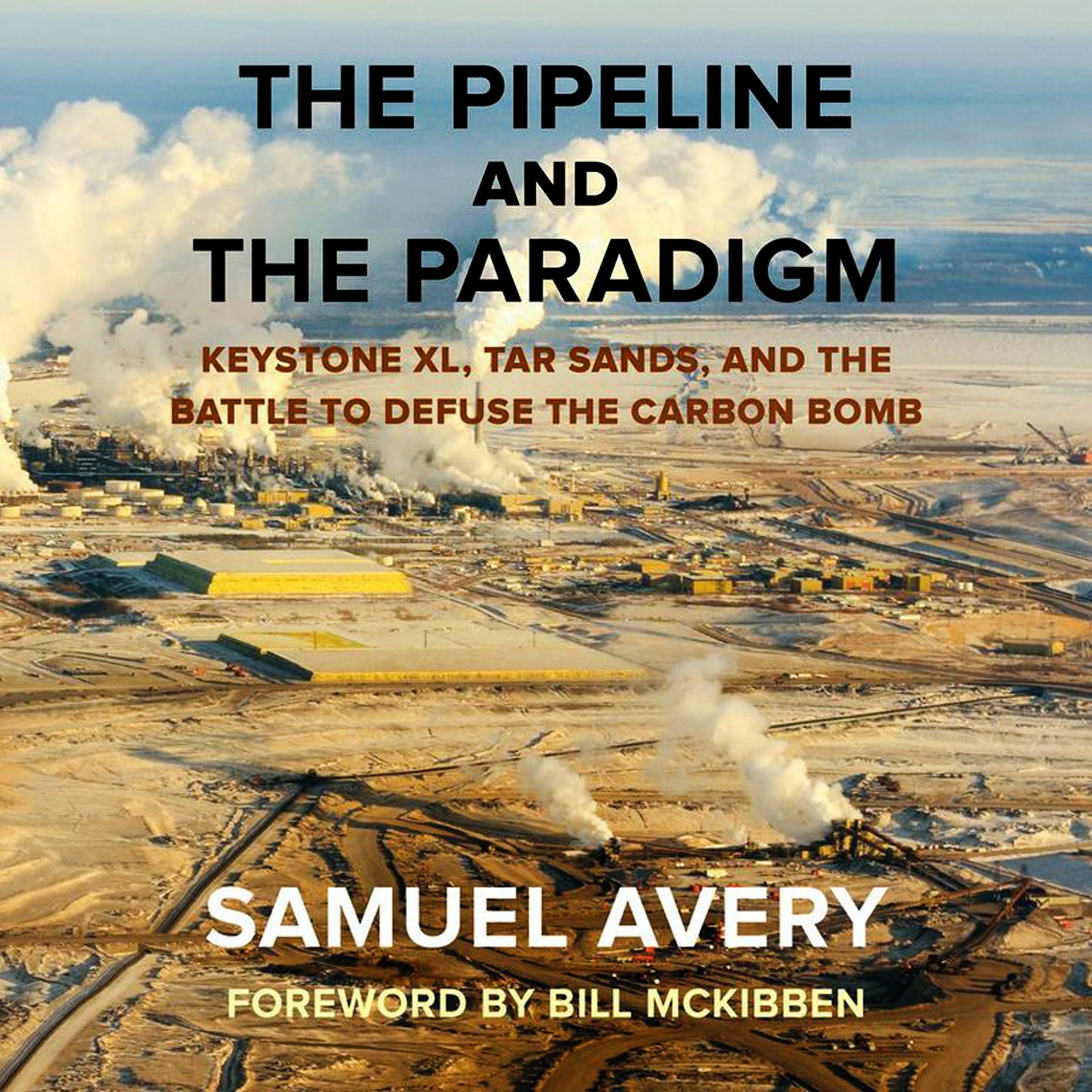 Cover art for The Pipeline and the Paradigm