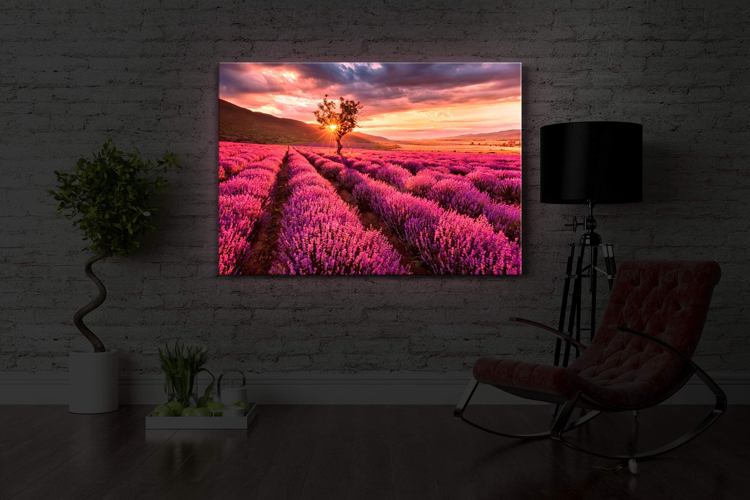 LED Leuchtbild Provence mit einsamen Baum 80x60 cm Front Lighted