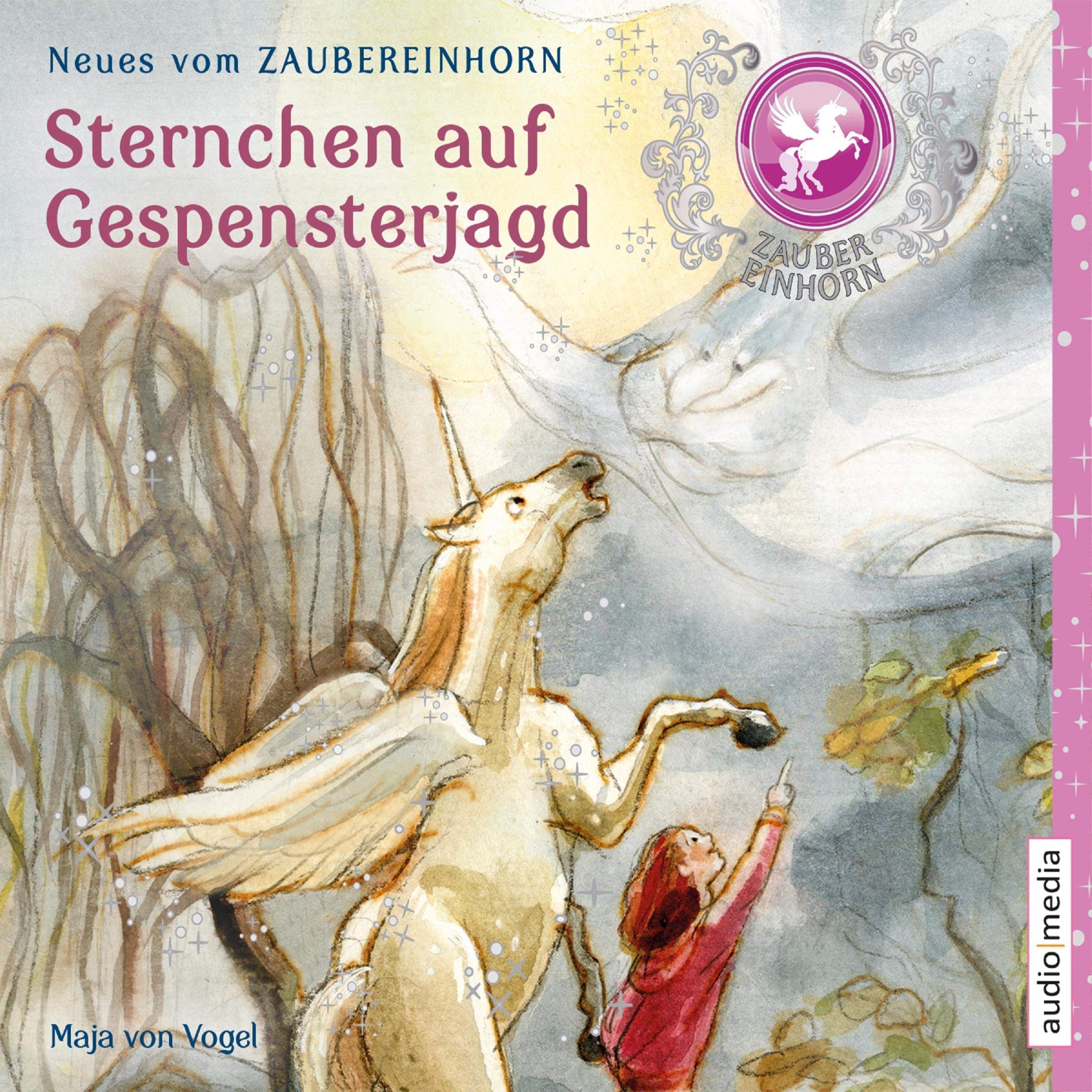 Cover art for Sternchen auf Gespensterjagd