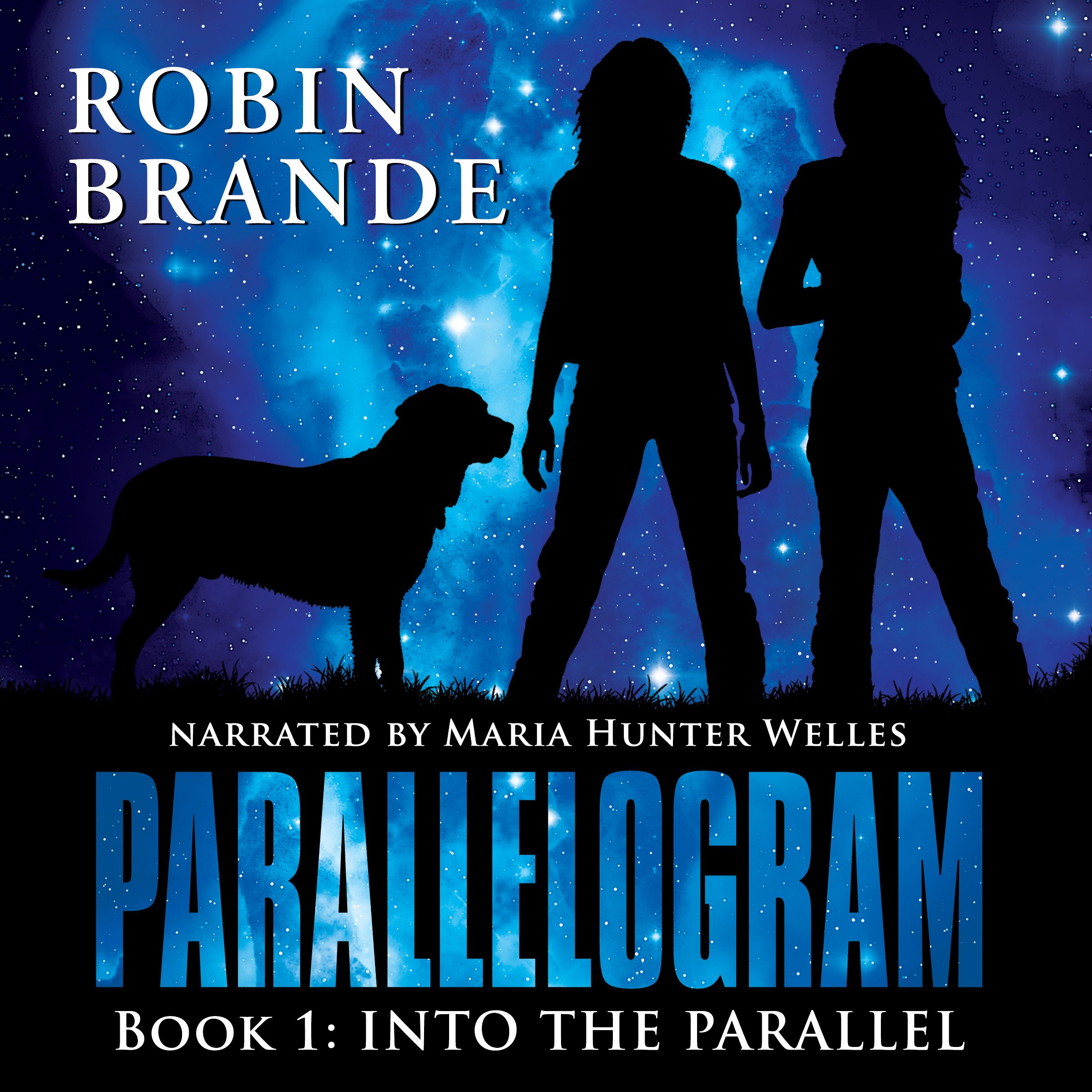 Cover art for Into the Parallel