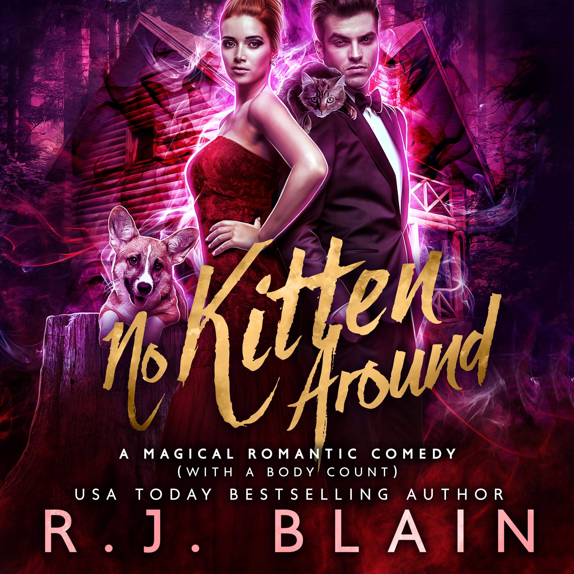 Cover art for No Kitten Around
