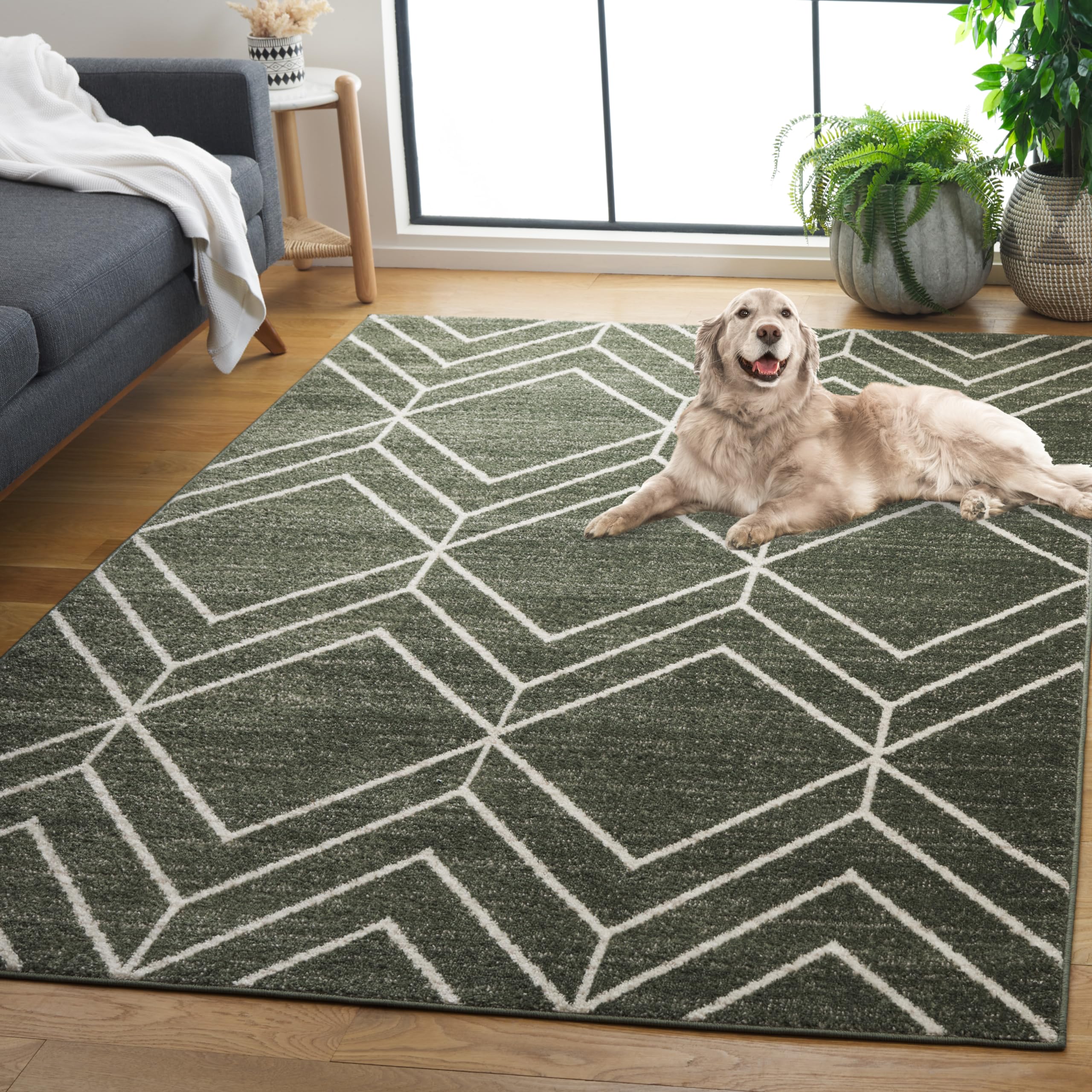 SAFAVIEH Area Rug 8x10 - Adirondack Collection - Large - Dark Green & Ivory, Non-Shedding & Easy to Clean, Ideal for Living Room, Bedroom, Dining