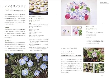 野草と暮らす365日 | 山下 智道 |本 | 通販 | Amazon