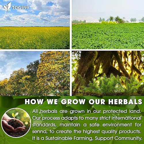 Miniatura 5 de 60 bolsas de té que alivian el estreñimiento té natural, mezcla de hojas de sena - menta - regaliz - hinojo, 100% naturales Ingrendientes, té de