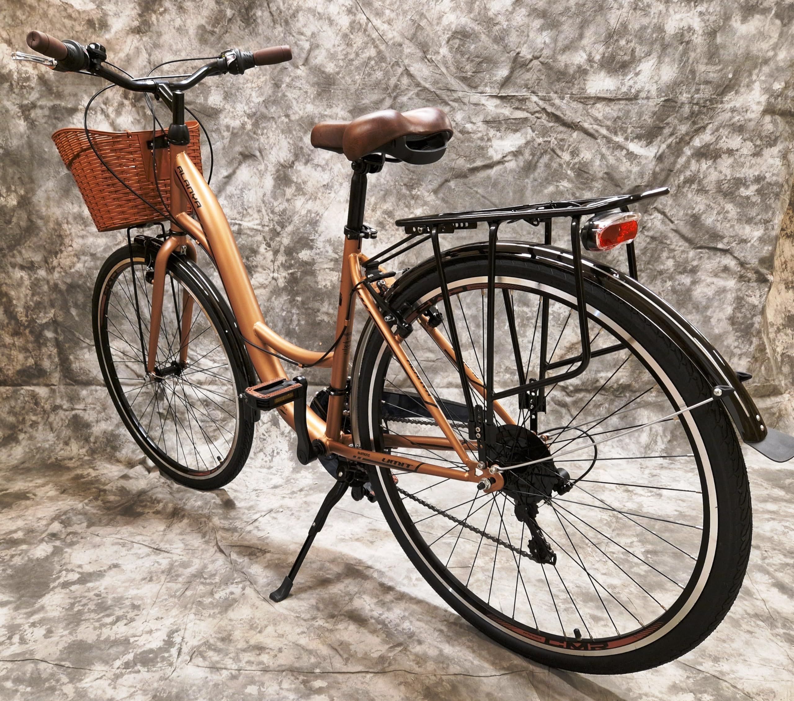 Generisch 28 Zoll Damencityrad 21-Gang Kettenschaltung, Gepäckträger und Korb NEU 2810-Gold Sport & Freizeit