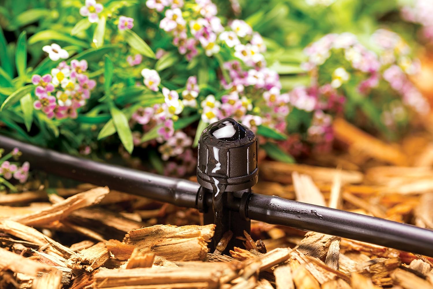 Rain Bird SW05-10PS Drip Irrigation Spot Watering Dripper/Emitter, 0.5 (1/2) Gallon Per Hour, 10-Pack ,Blue/Black