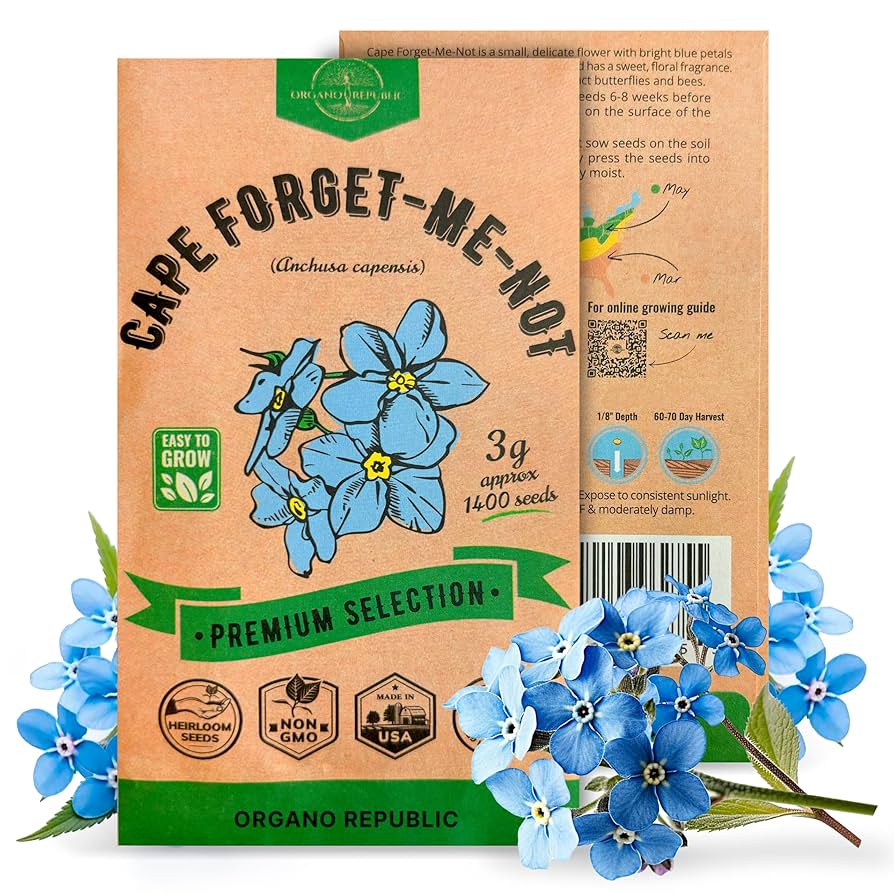 Forget me not～パレット～ p706p5g Forget me not～パレット～ p706p5g Amazon.co.jp: Forget me