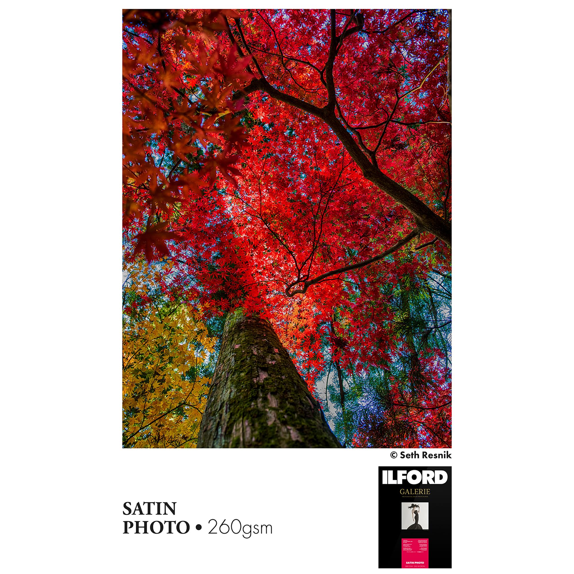 Ilford Galerie Lustre Satiné Feuilles de Papier Photographique, 260g, A3+, 25 Feuilles