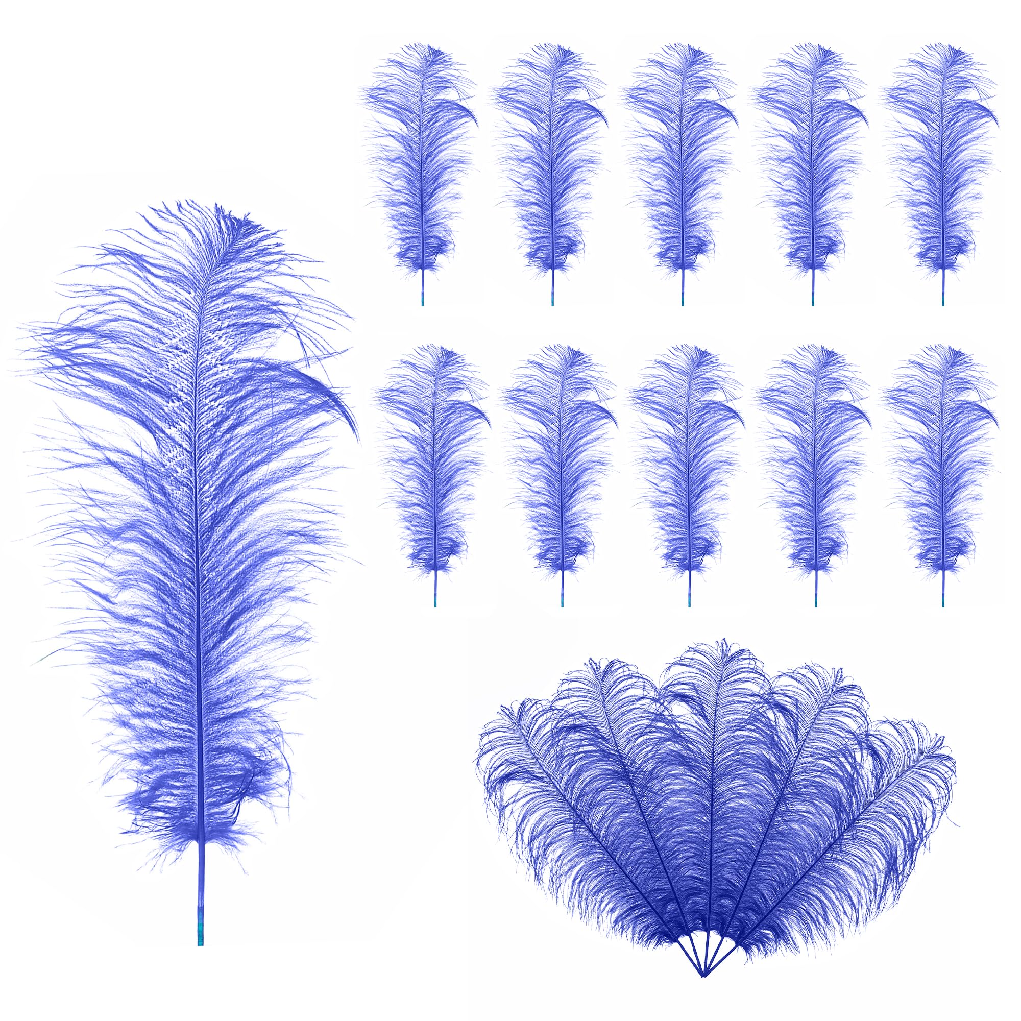 Trimming Shop 19-23inch(50-60cm) Royal Blue Ostrich Feathers Plume for Wedding Table Centrepieces Home Decoration Decorating Costumes Headdresses Showgirl Spadones, Pack of 10
