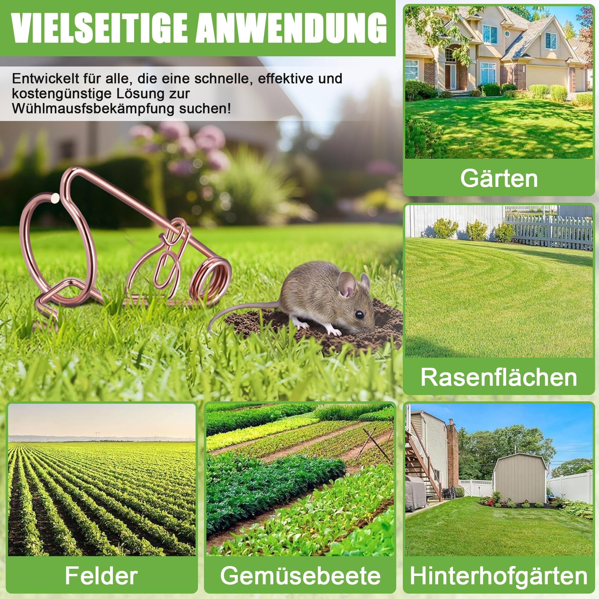 Enhon 8 Pièces Professionnel pour Campagnols Et Taupes, Pièges pour Campagnols en Fil d'acier Cuivré, sans Poison - Aucun Appât Nécessaire, Efficace Contre Les Et Les Taupes dans Le Jardin