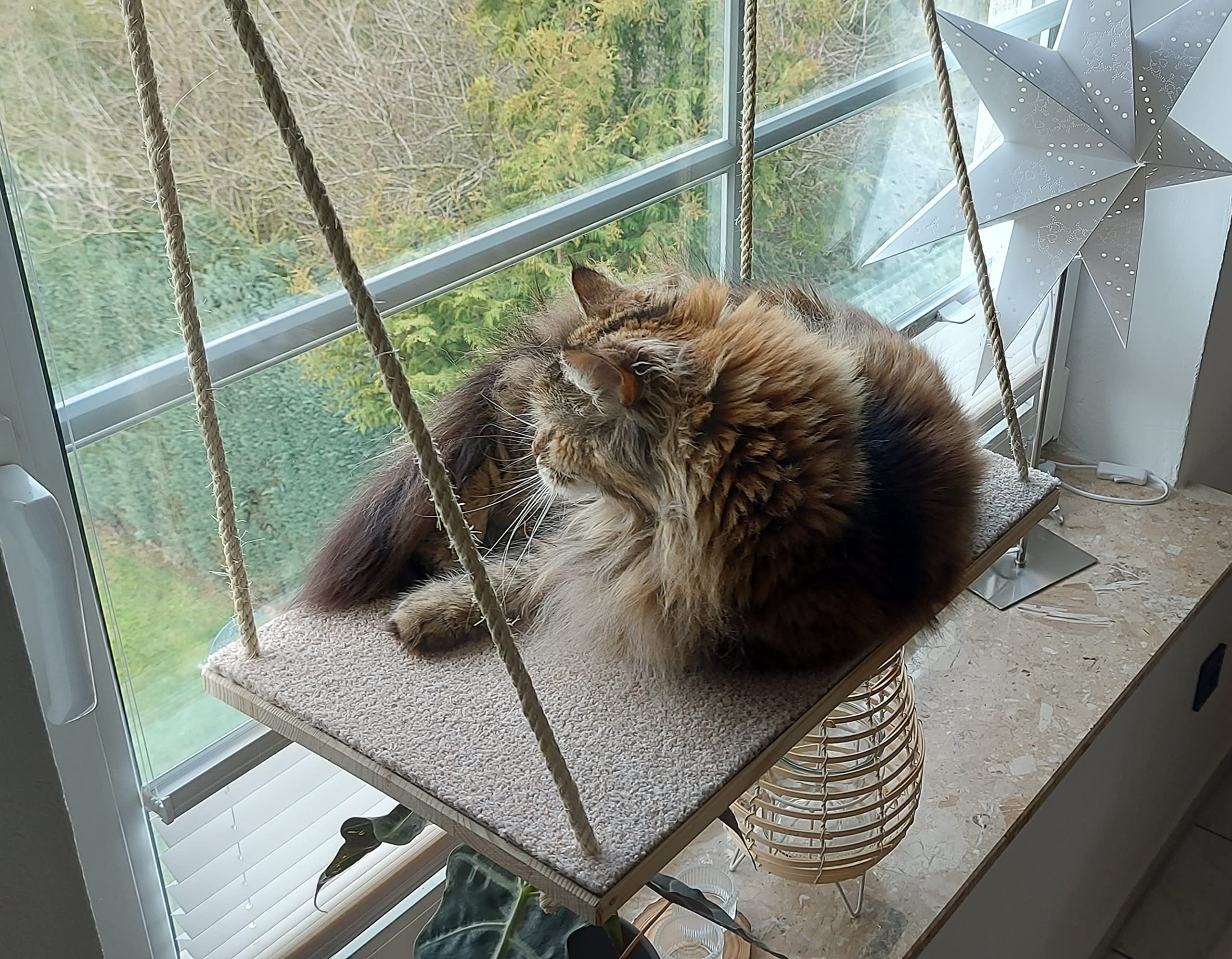 CapriCorner Katzen Fensterliege, kein Herunterfallen Dank Sisalseile, Holz statt Plastik - Neuer Fensterplatz (Grau)