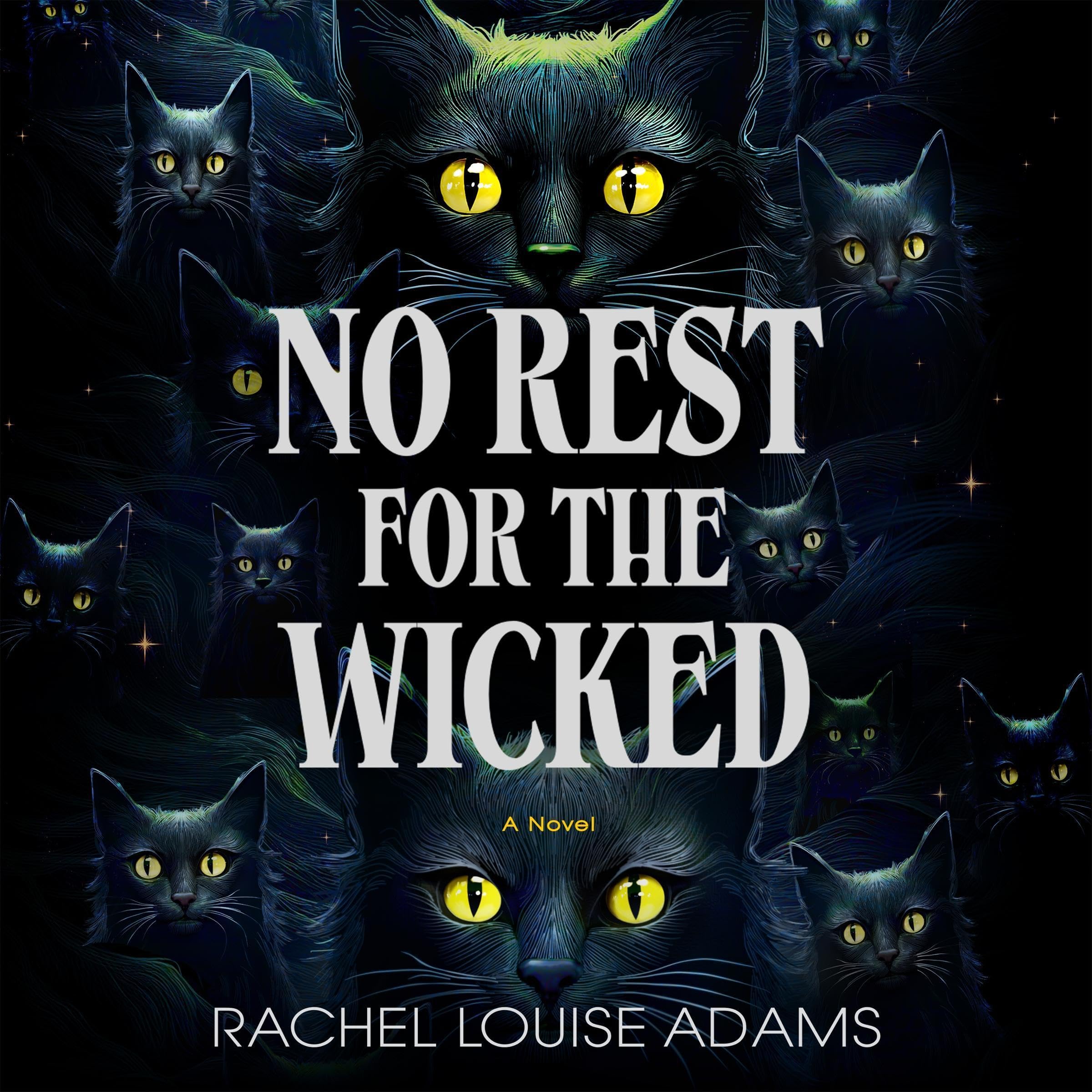 Cover art for No Rest for the Wicked