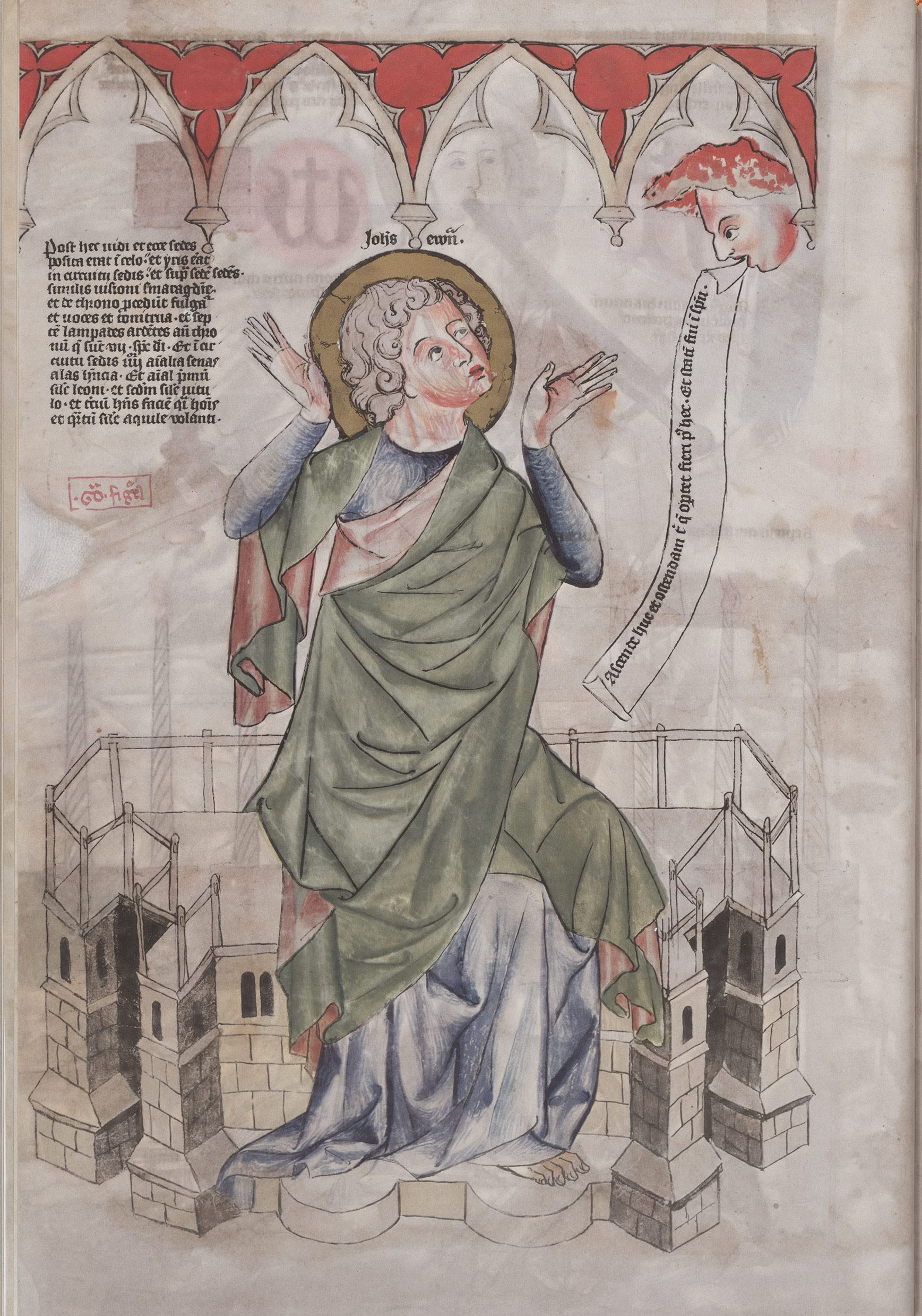 Biblia Pauperum. Apocalypsis. Die Weimarer Handschrift.: Reprint aller Tafeln mit großformatigen Details