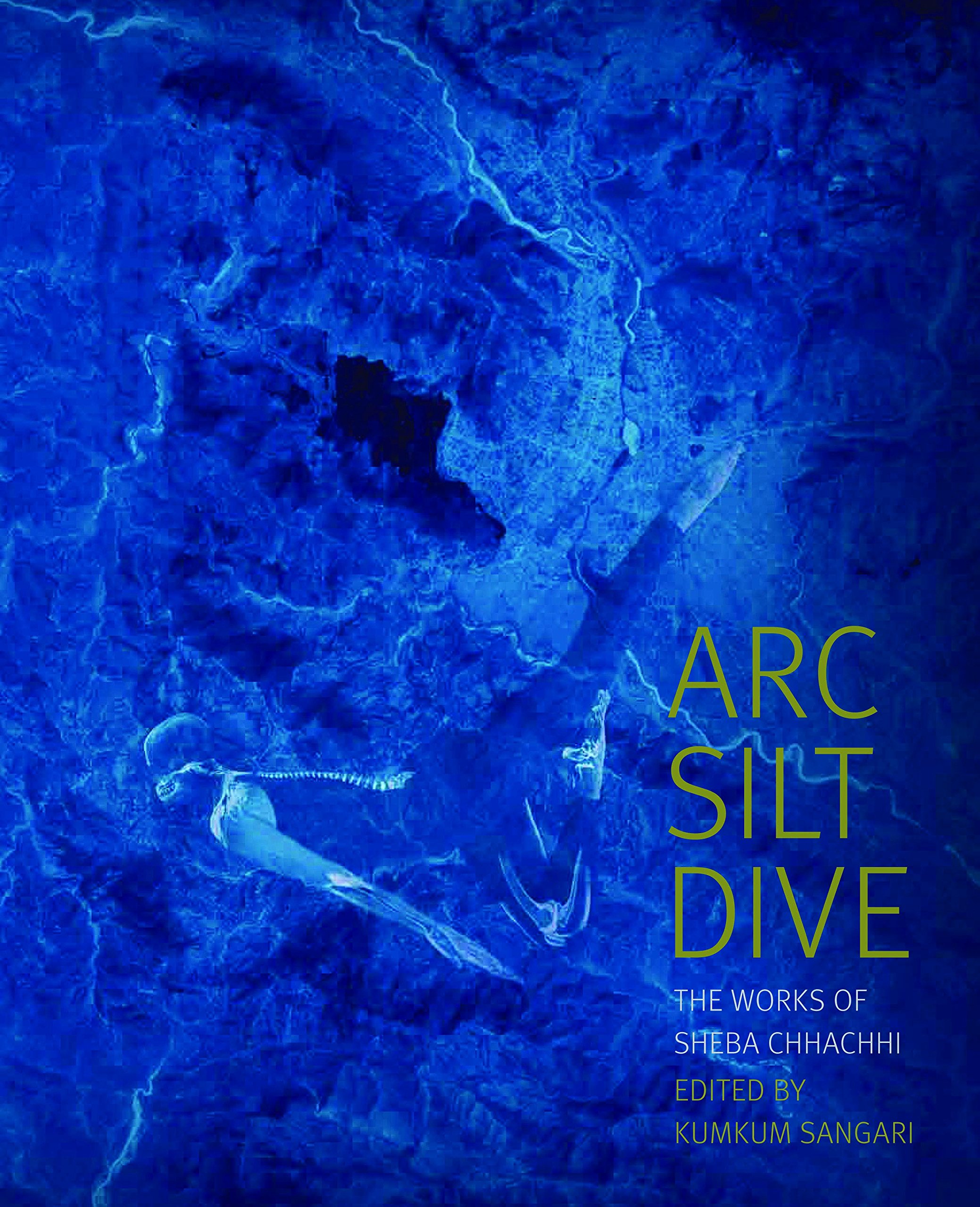 Arc Silt Dive: The Works of Sheba Chhachhi livre art contemporain installation