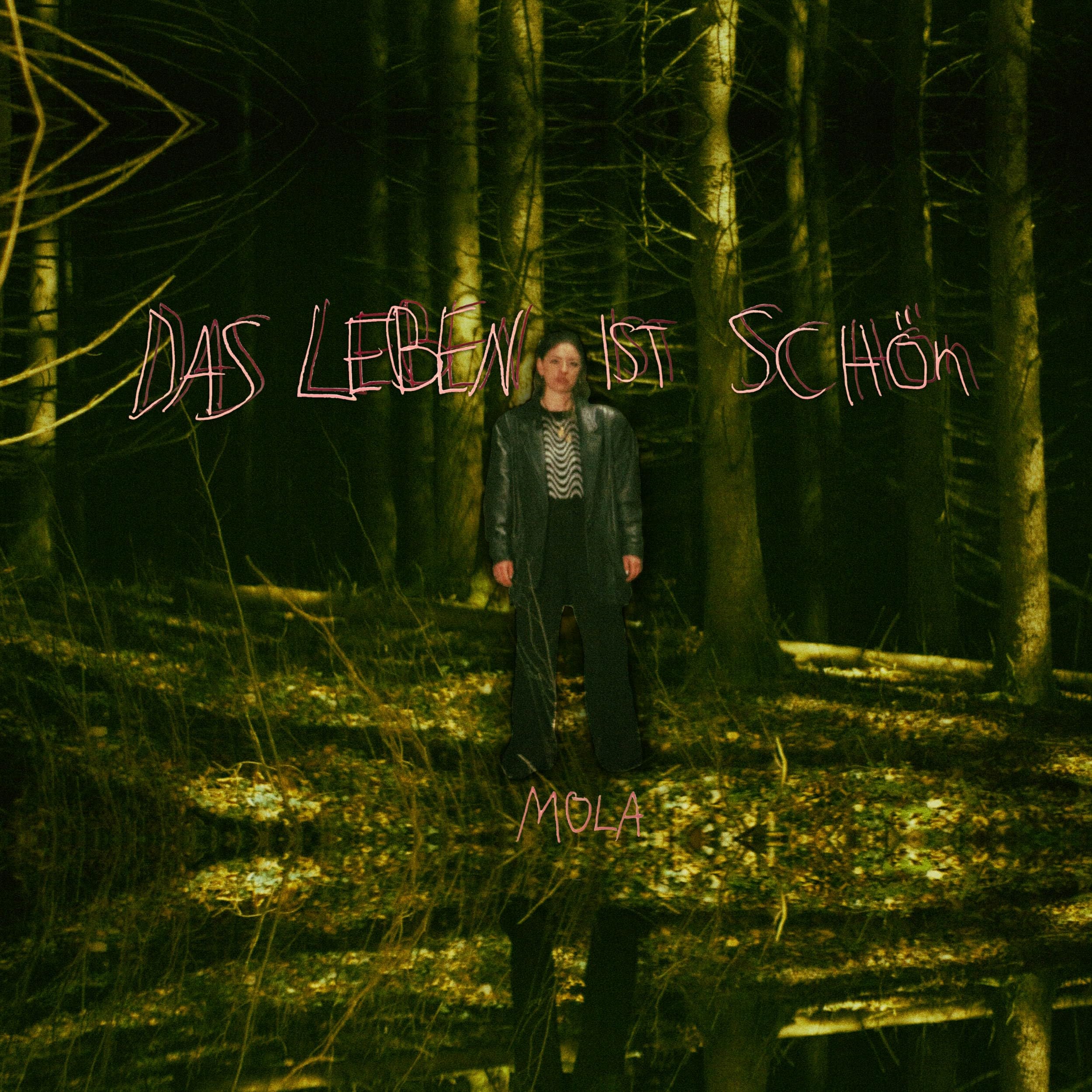 Das Leben Ist Schön [VINYL]