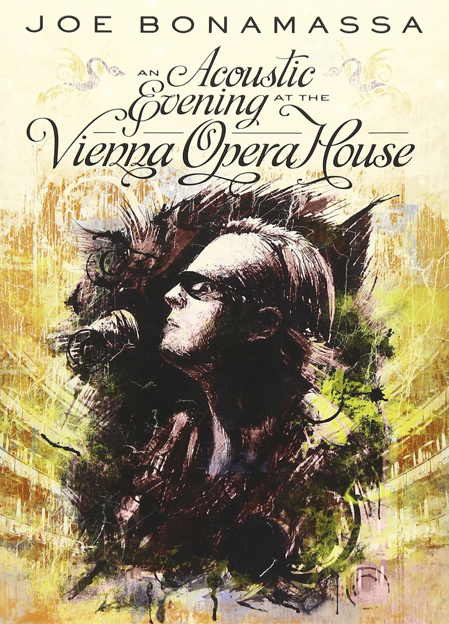 An Acoustic Evening At The Vienna Opera House[2 DVD]