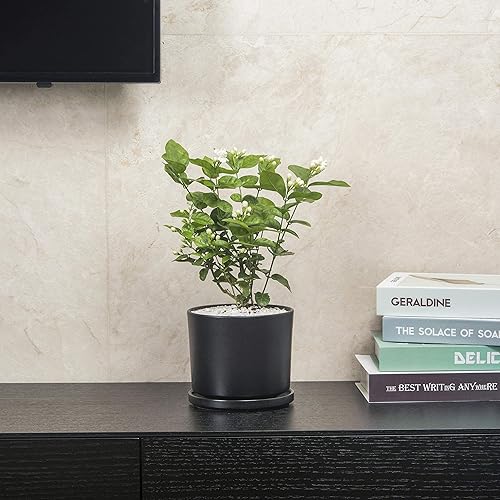 Miniatura 4 de Ekirlin Macetas de 5 pulgadas, macetas de cerámica para interiores, recipientes modernos para suculentas con platillo de orificio de drenaje,