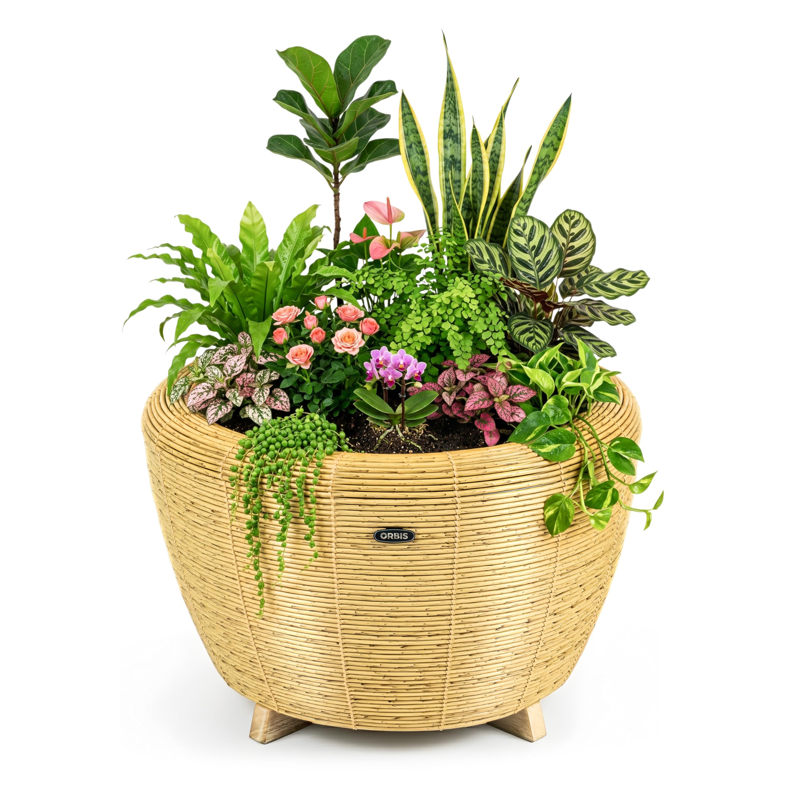 velda Orbis Planter Natural – Large Garden Planters for Indoor & Outdoor Use – Wicker Basket with Wooden Base & Frost Resistant 70 Litre Tub – Ø 67 x 44 cm