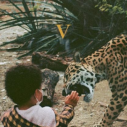 V (2LP) por Unknown Mortal Orchestra — capa do álbum