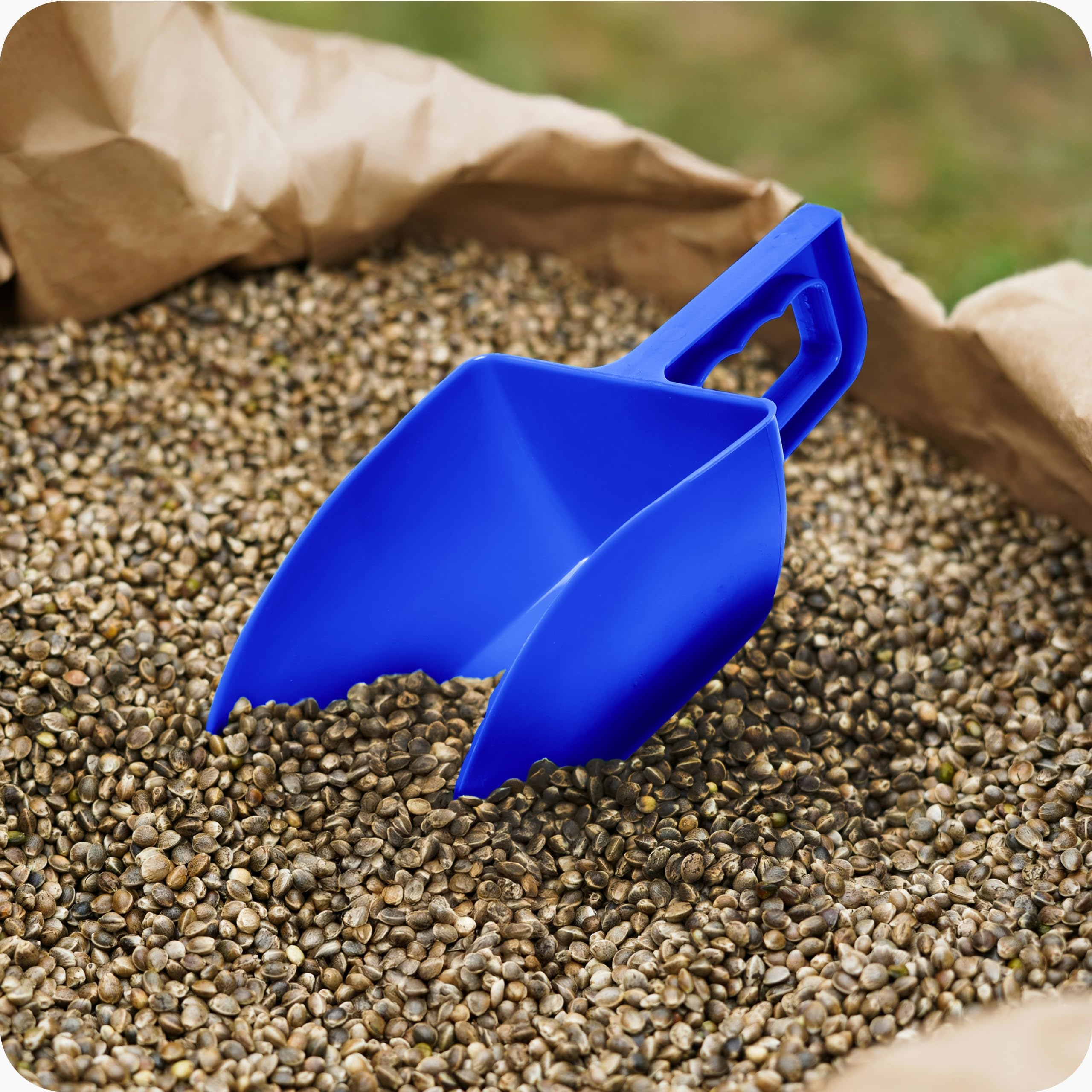 Garronda Pala de plástico para pienso 1 kg - Cuchara para alimento de animales, semillas, cereales o harina - Diseño robusto y ergonómico - Fabricada en Europa - Modelo GD-0153 (Azul)