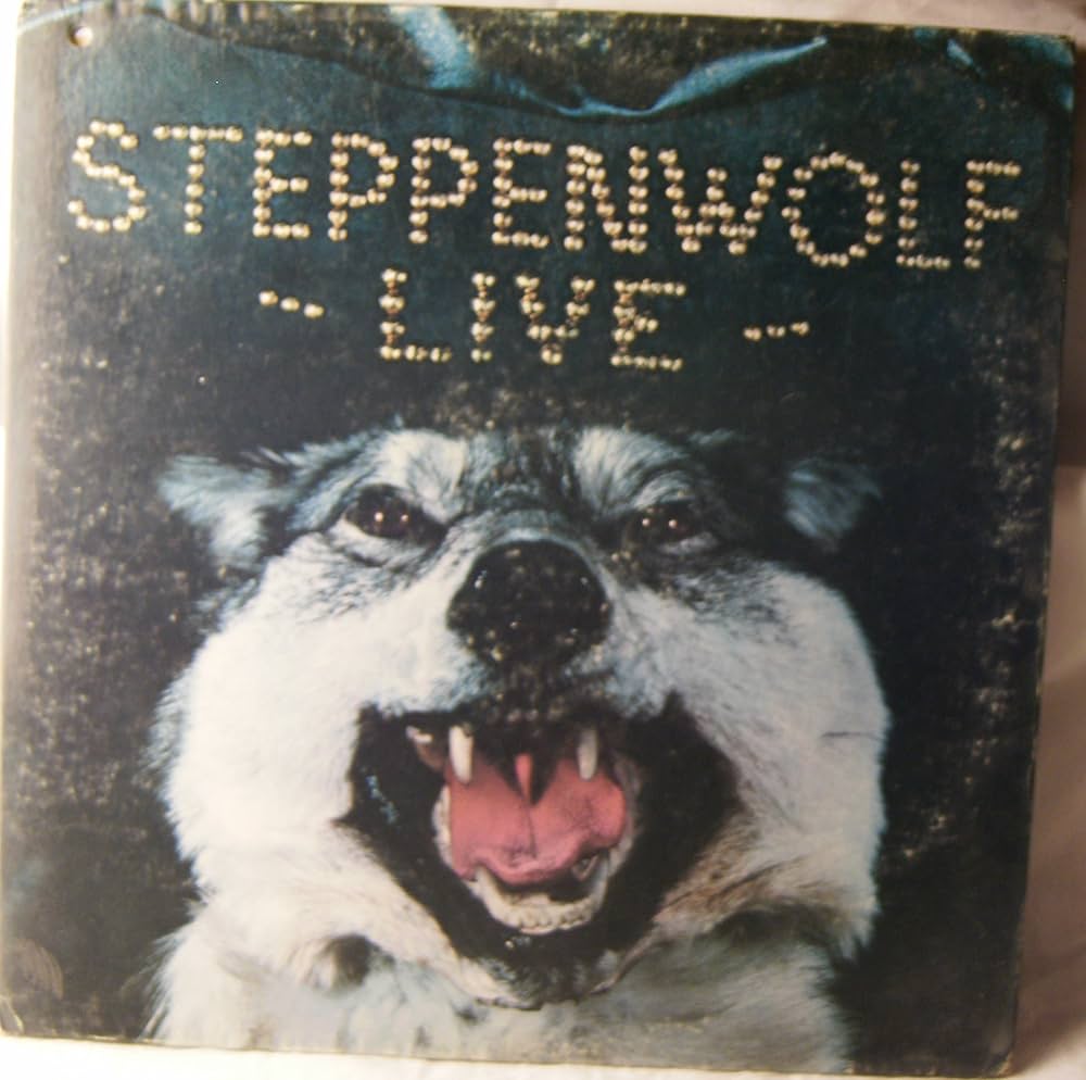 Amazon.co.jp: Live [12 inch Analog]: ミュージック